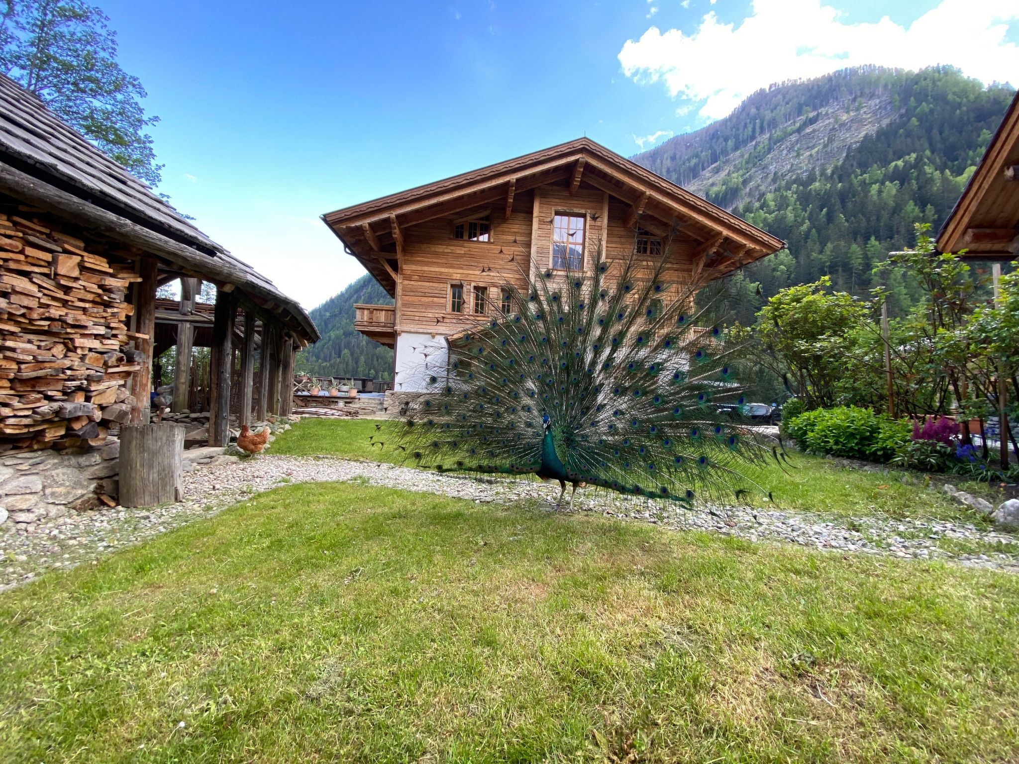 Studio Wasserfall-Binnen