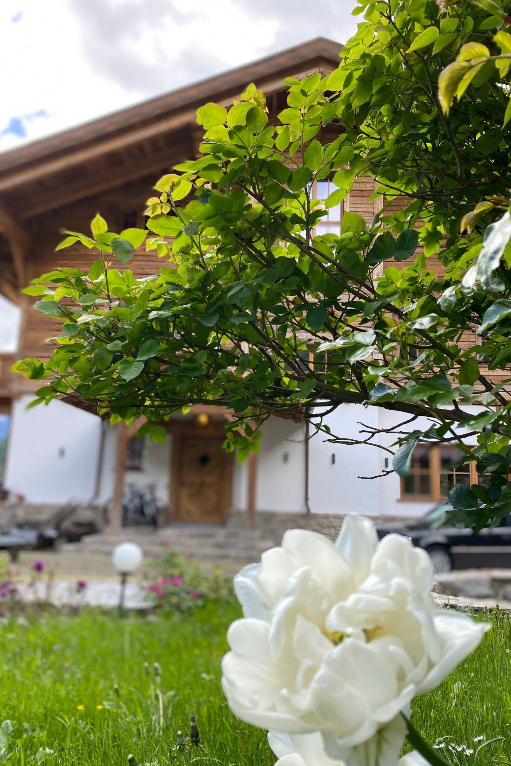 Studio Wasserfall-Binnen