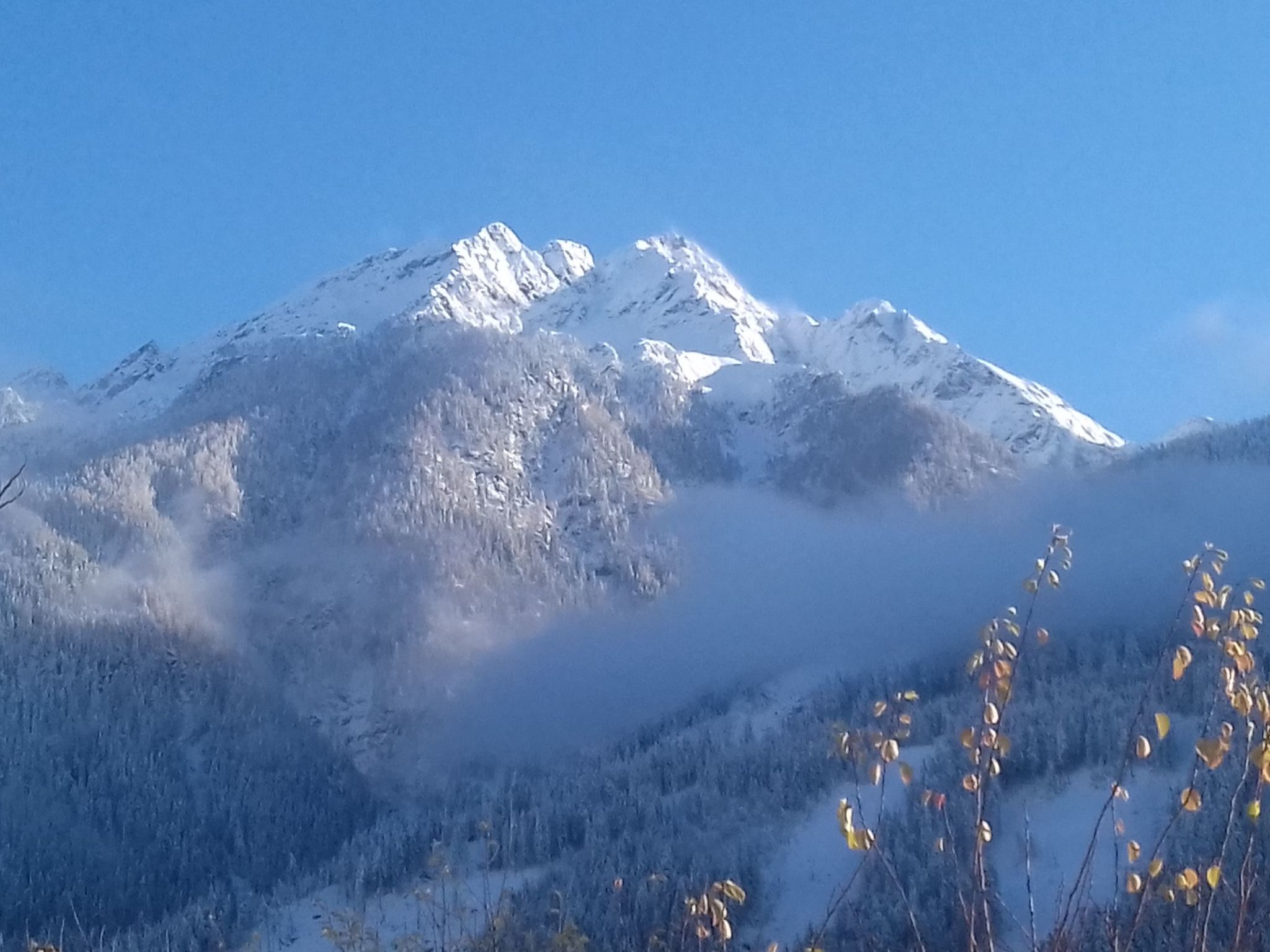 Wohnung Michaela in Flattach-Binnen