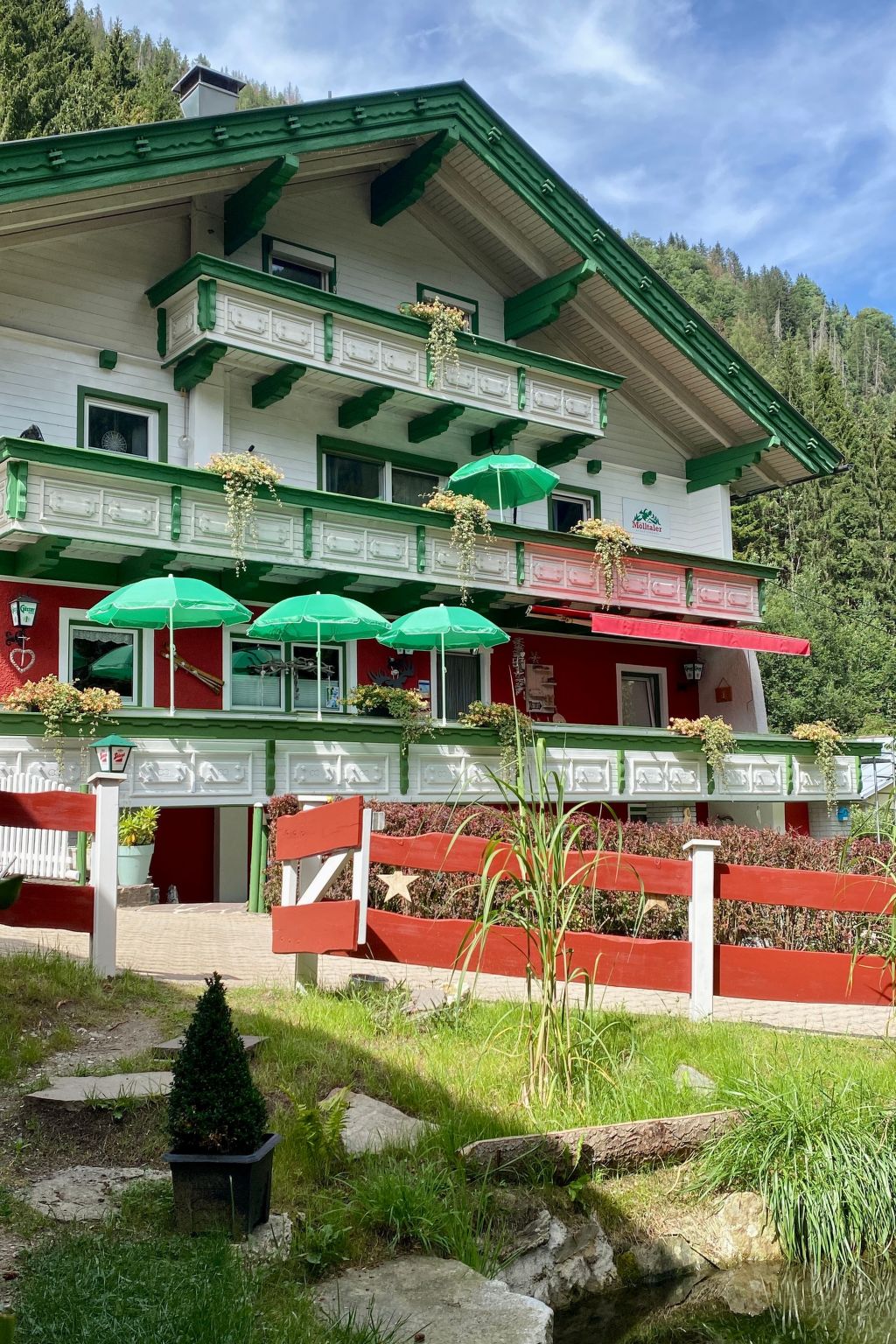 Fliegender Hirsch-Image-tags.info