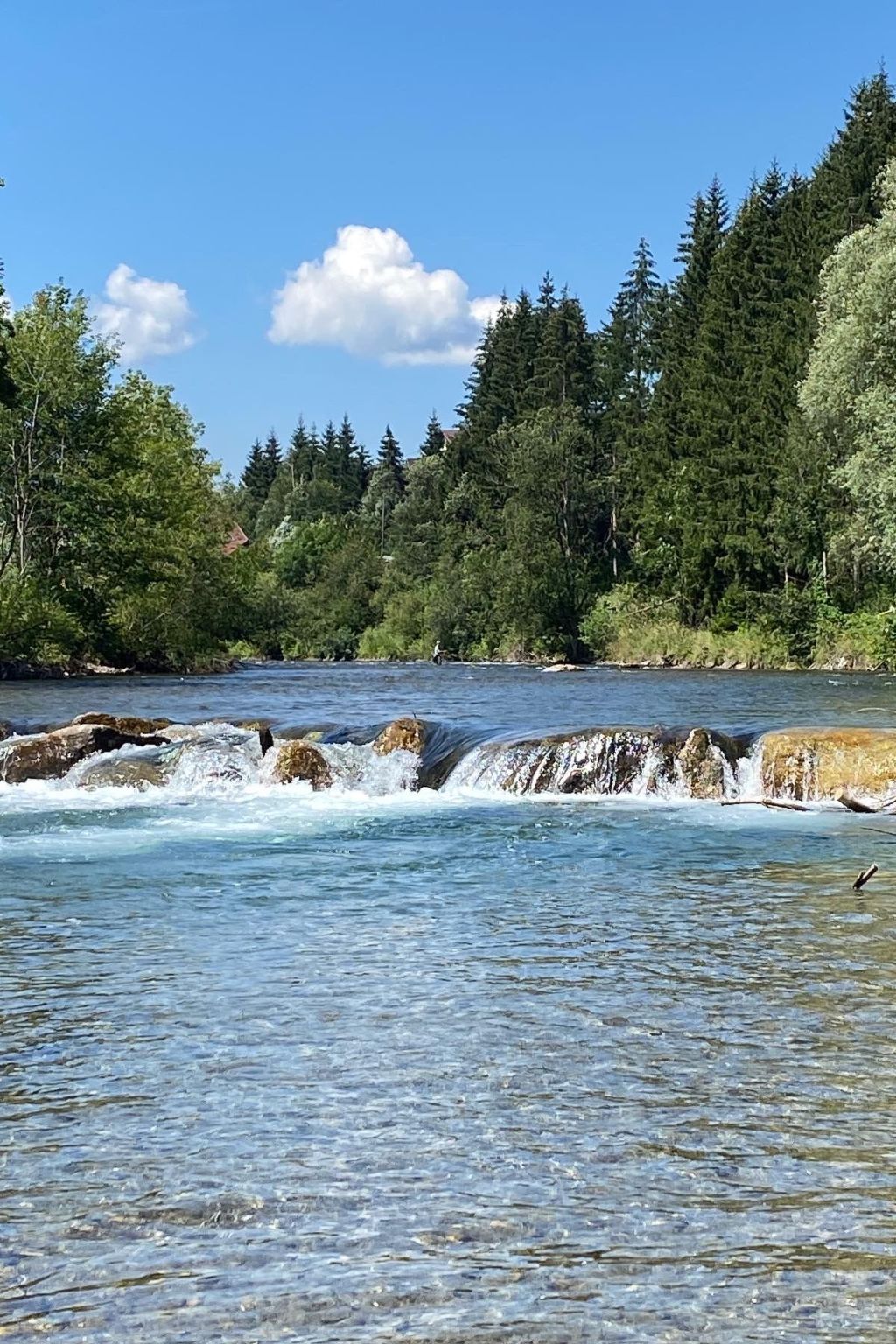 Fliegender Hirsch-Image-tags.info