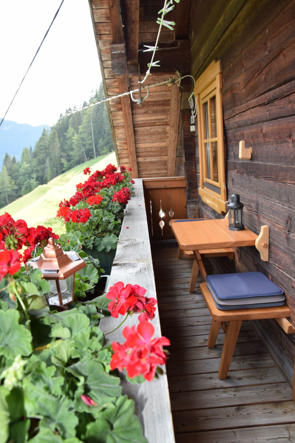 Suntiger-Image-tags.info