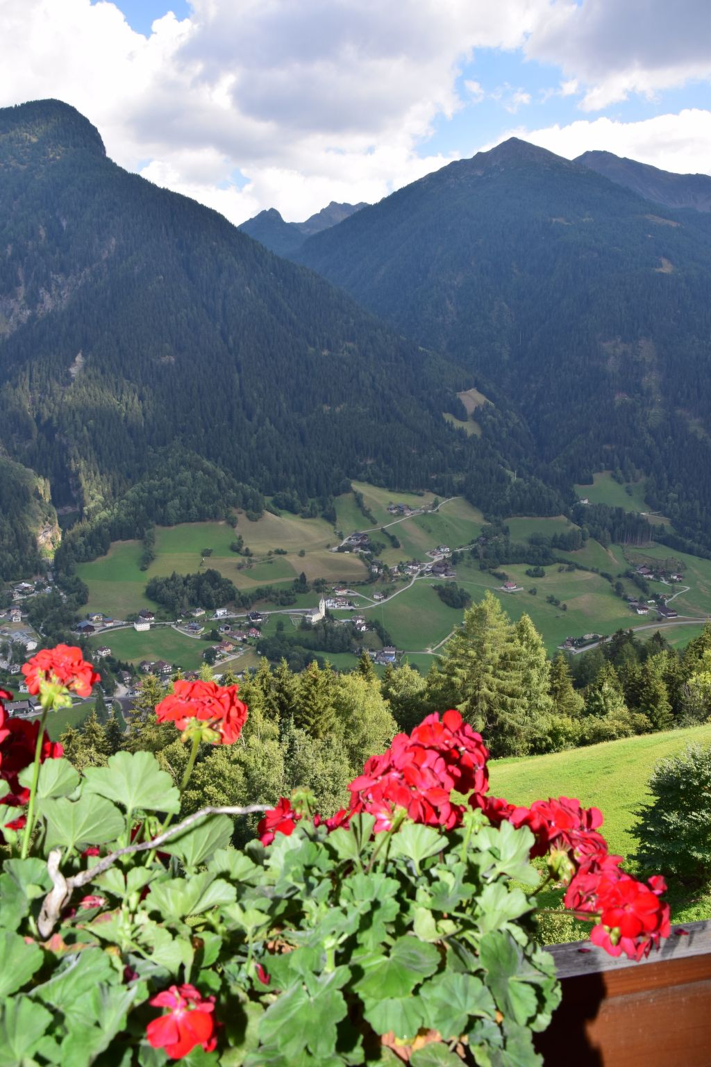 Suntiger-Image-tags.info