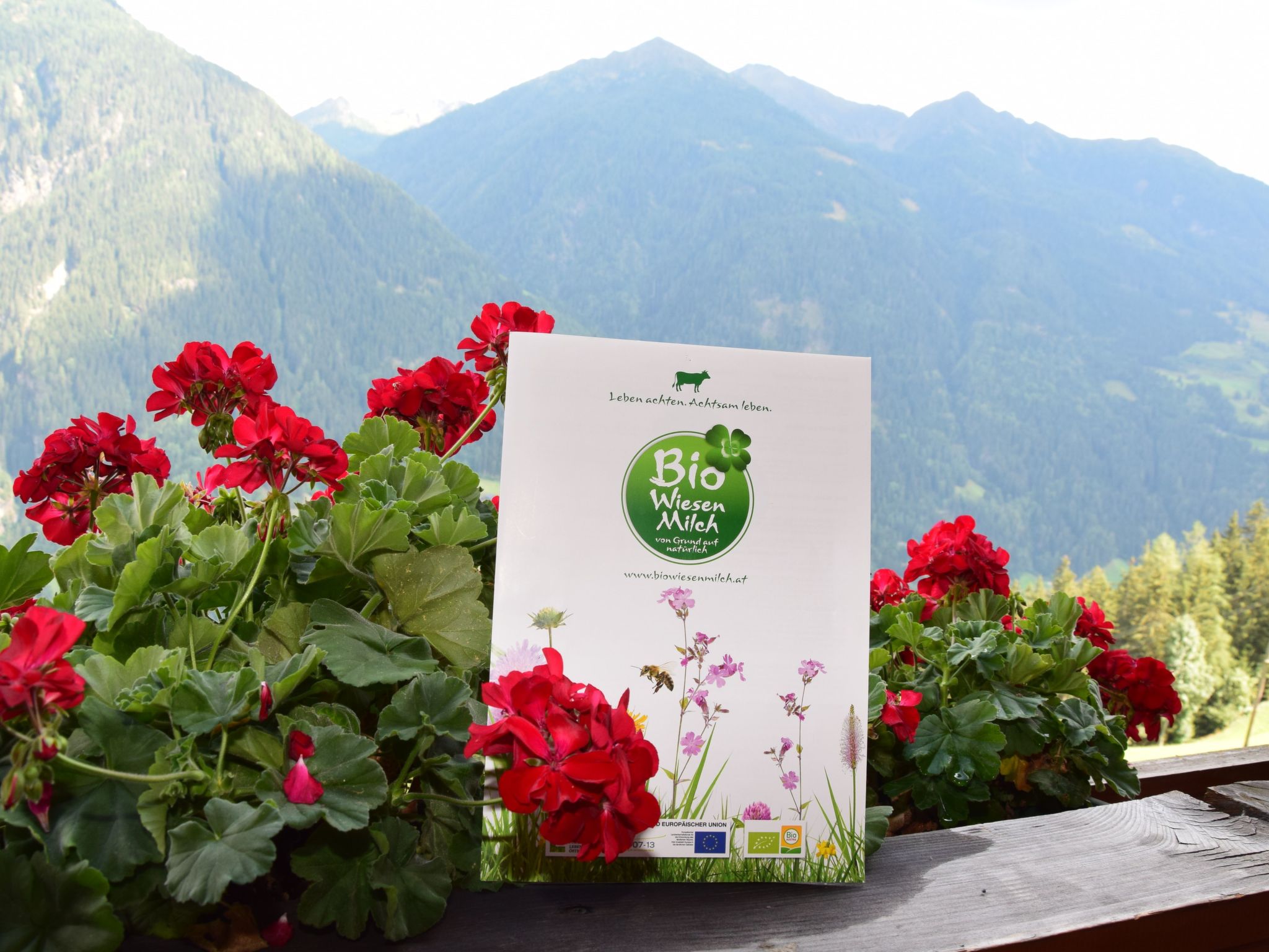 Suntiger-Image-tags.info