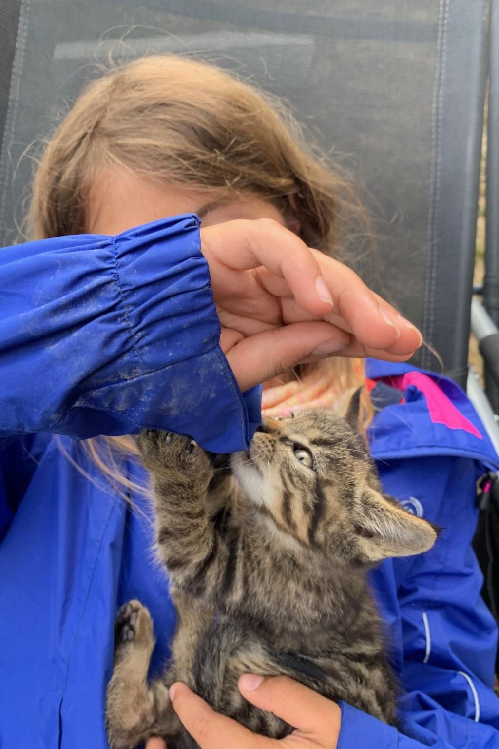 Suntiger-Image-tags.info