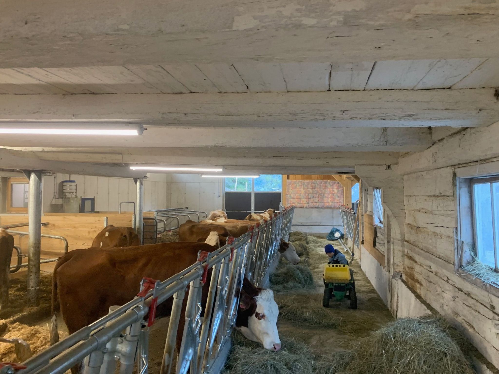 Suntiger-Image-tags.info