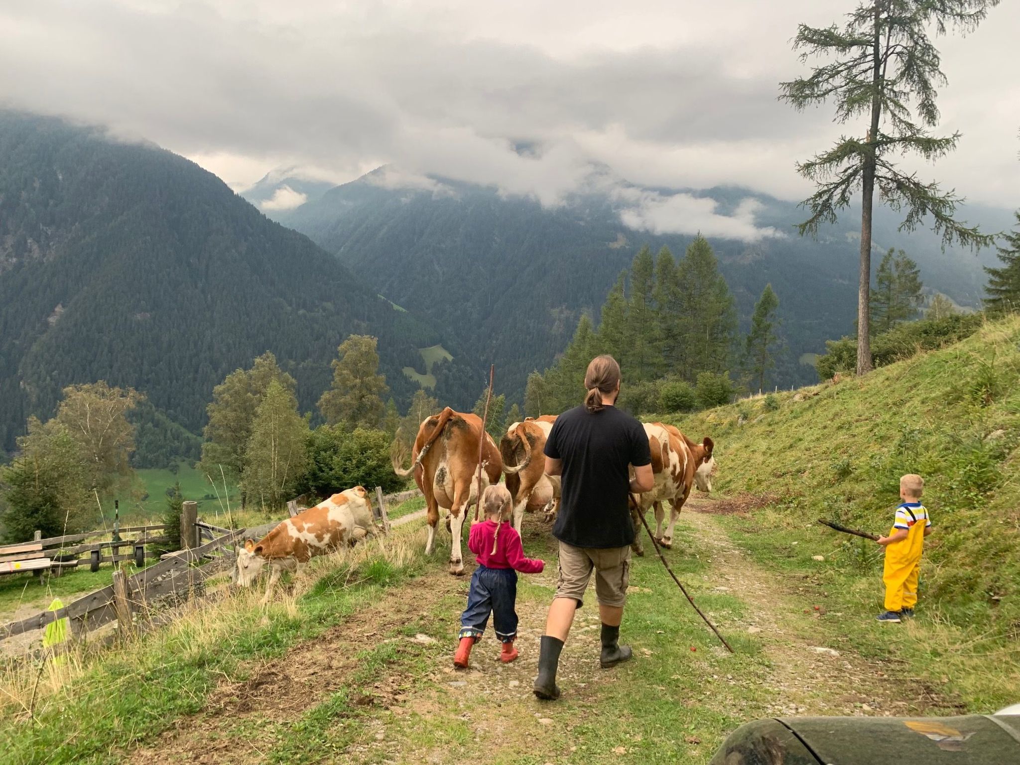 Suntiger-Image-tags.info