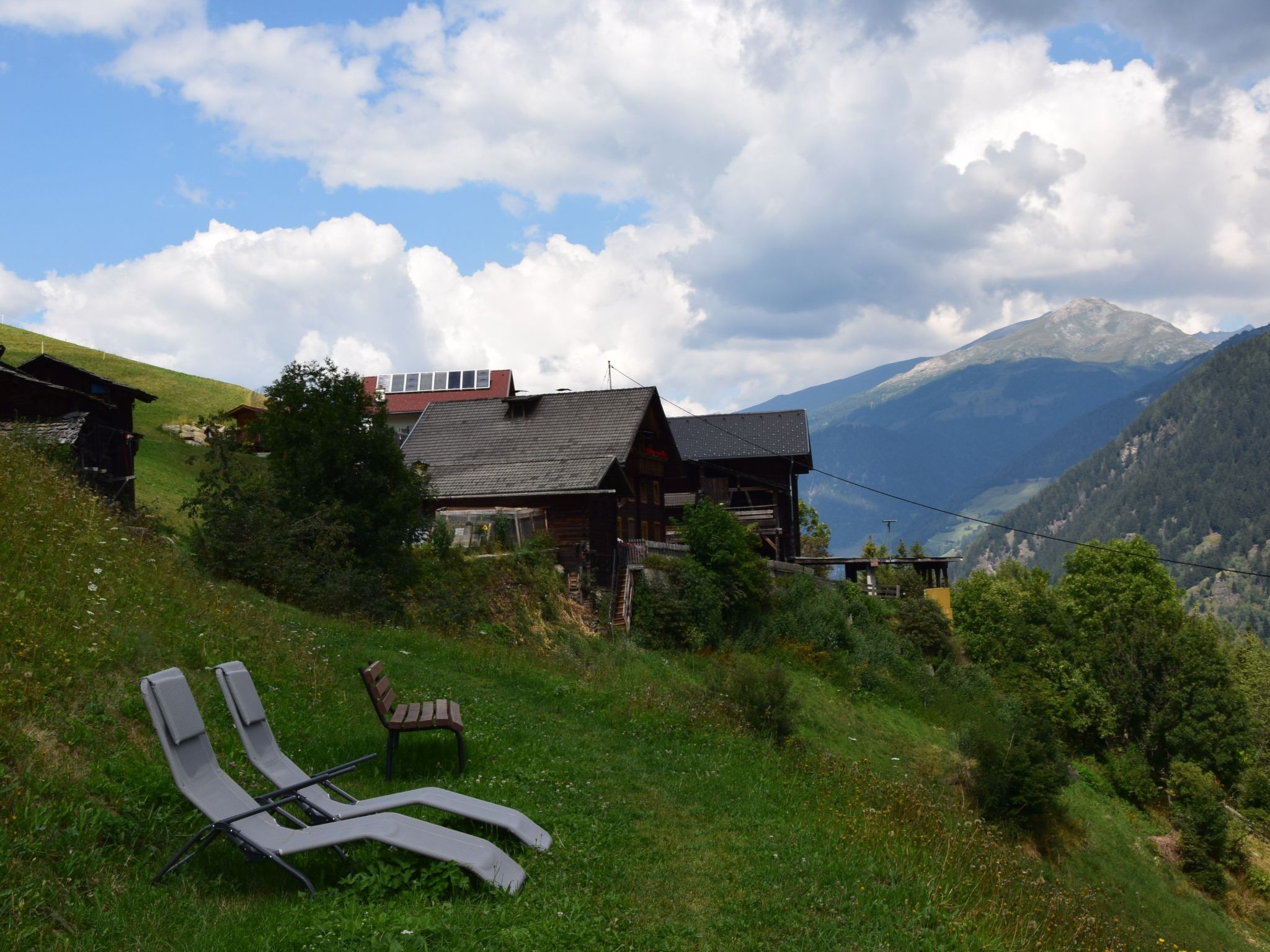 Suntiger-Image-tags.info