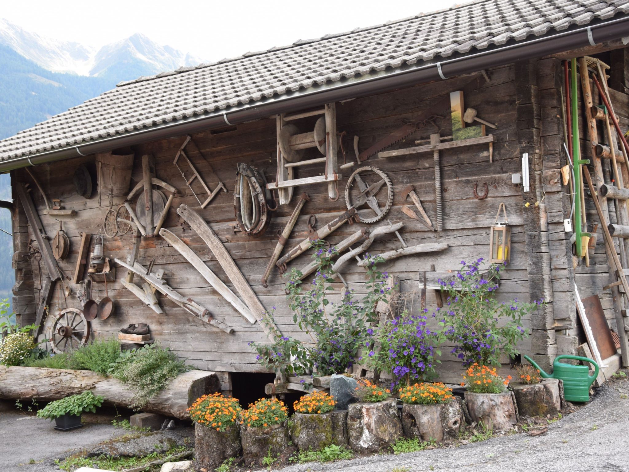 Suntiger-Image-tags.info