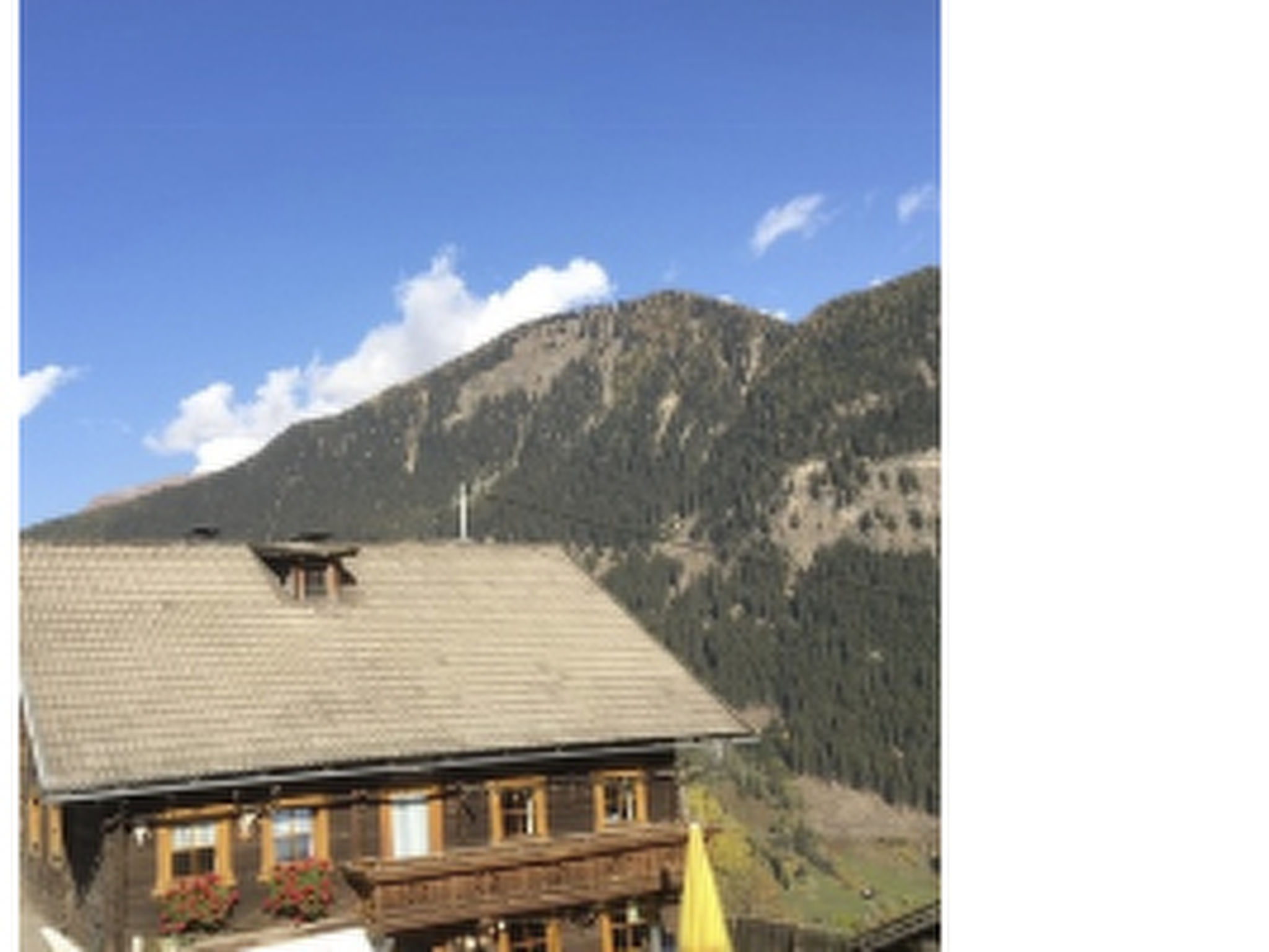 Suntiger-Image-tags.info