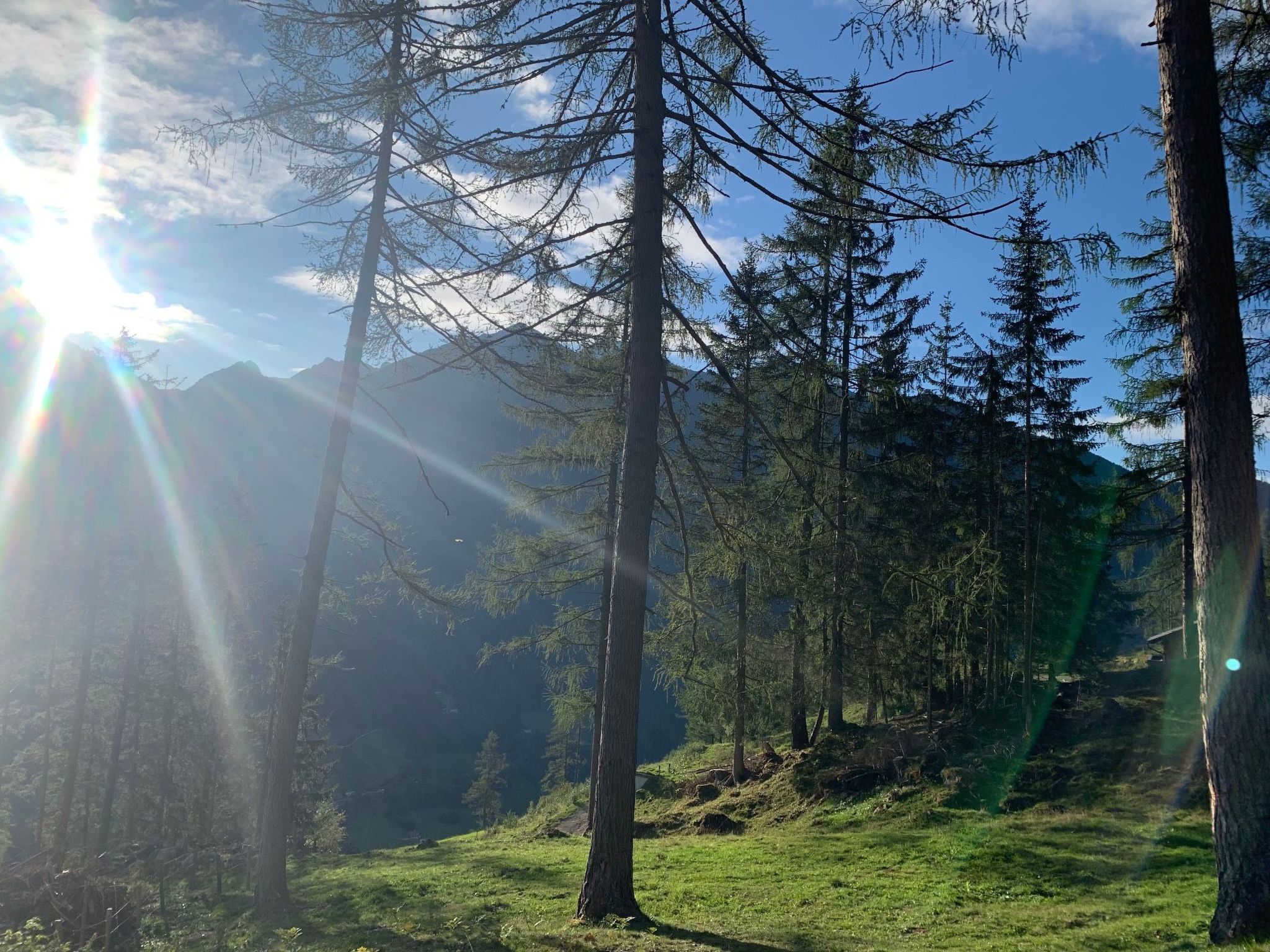 Suntiger-Image-tags.info