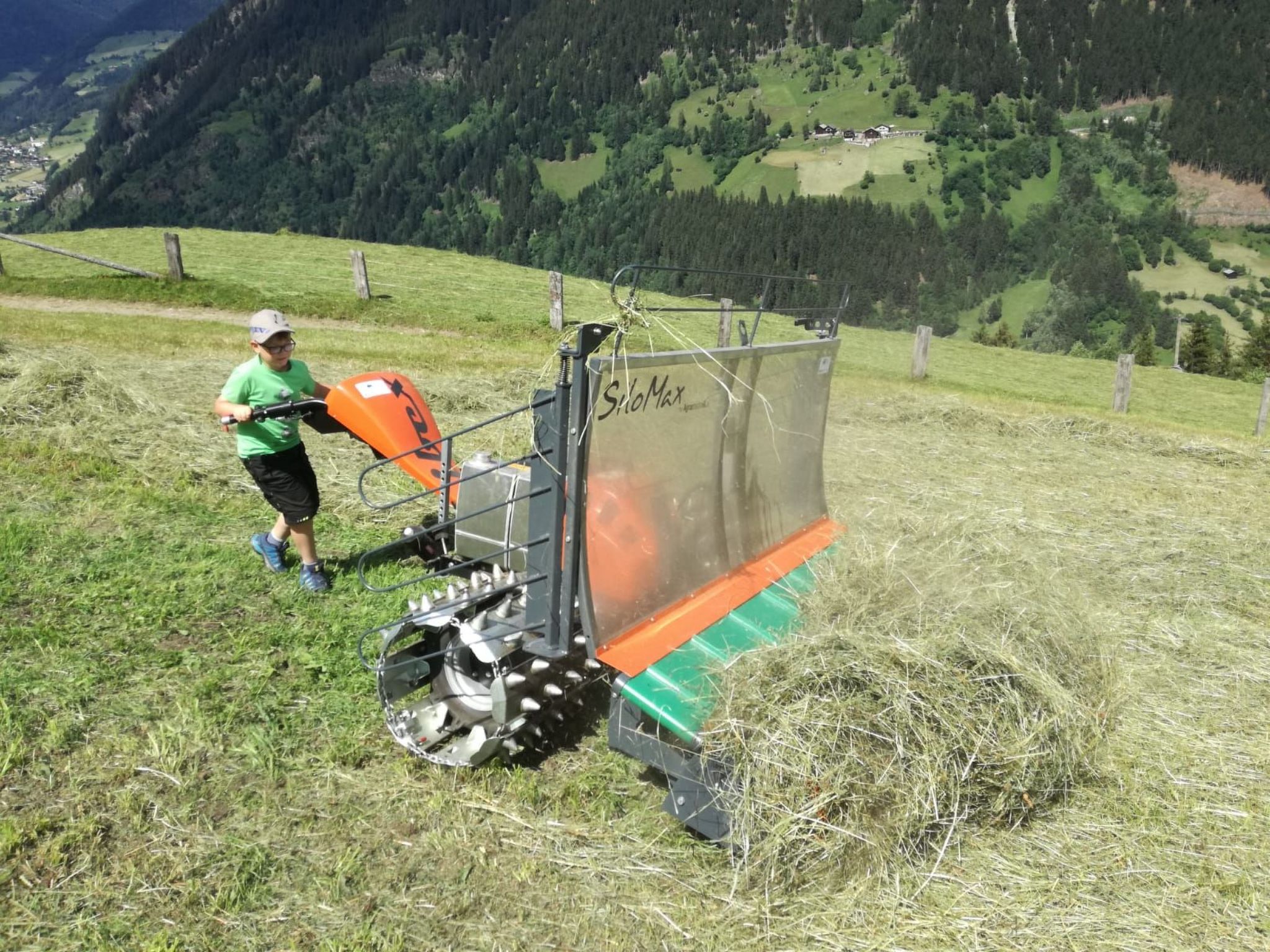 Suntiger-Image-tags.info