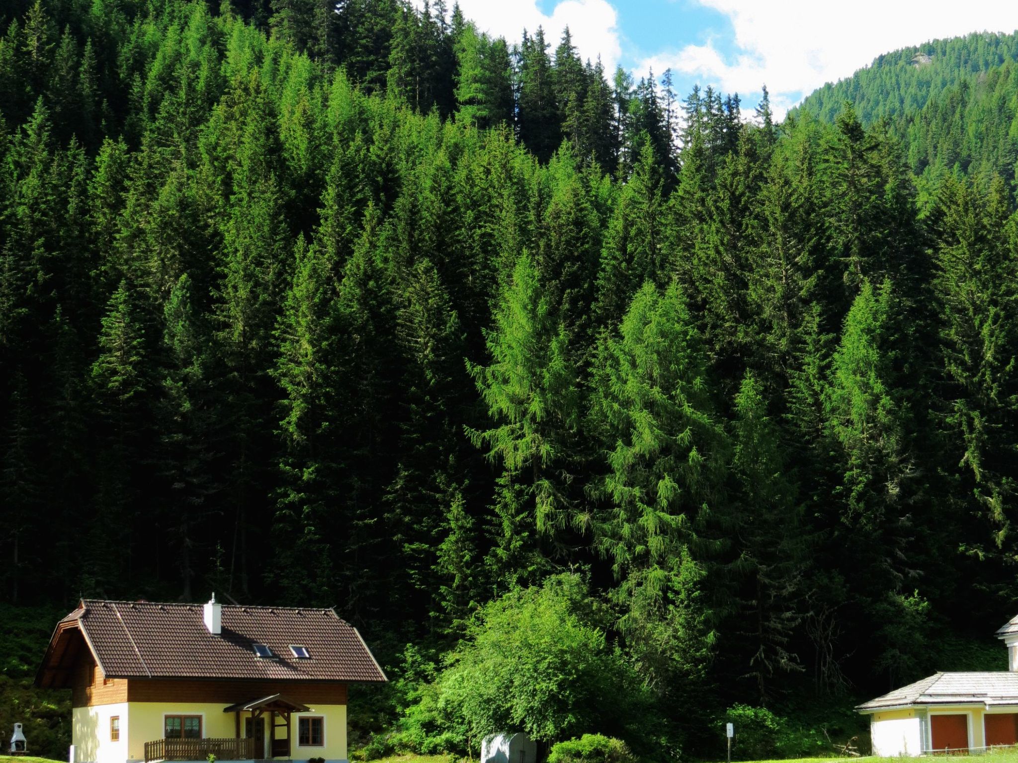 Gemütliches Ferienhaus in ruhiger Lage-Binnen