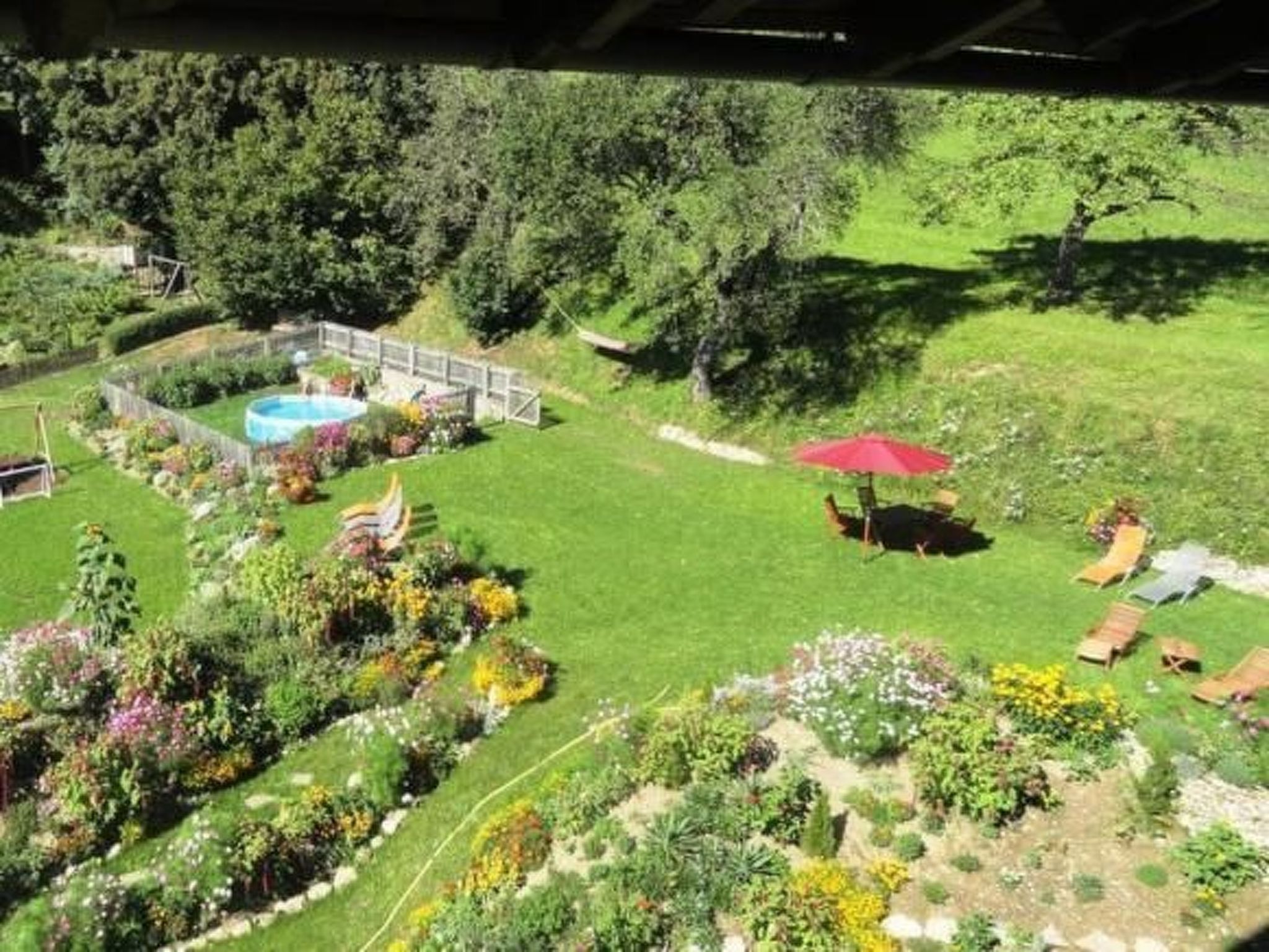 Aconitum in Millstatt-Image-tags.info