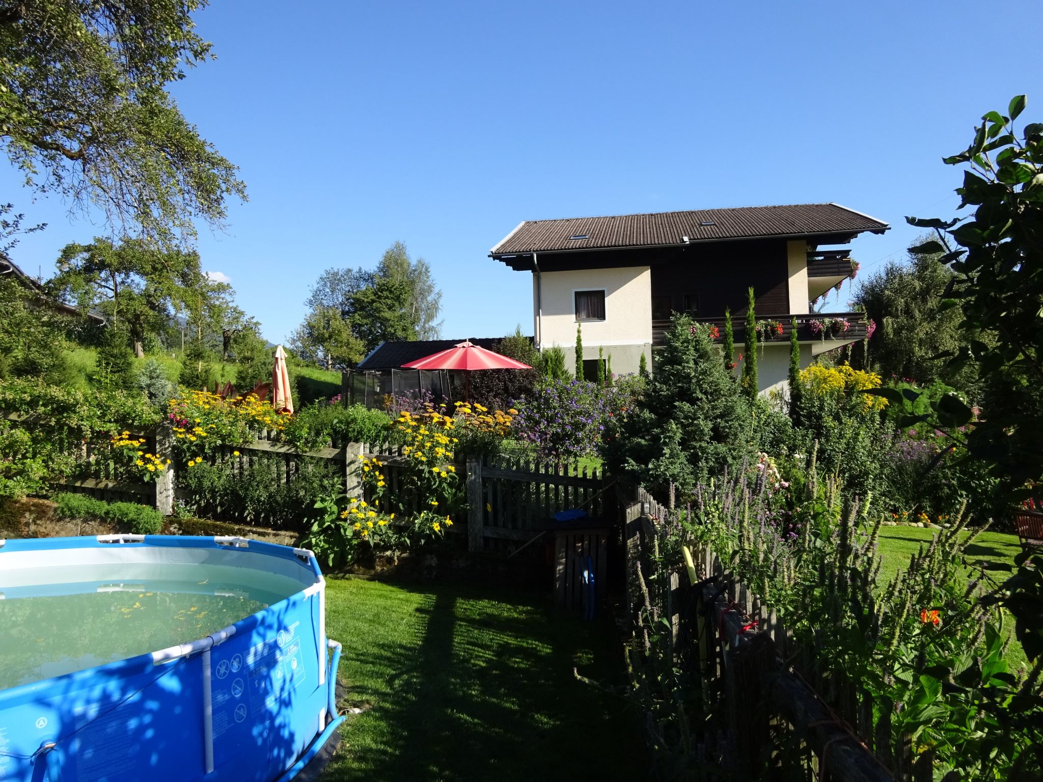 Anemoon in Millstatt-Image-tags.info