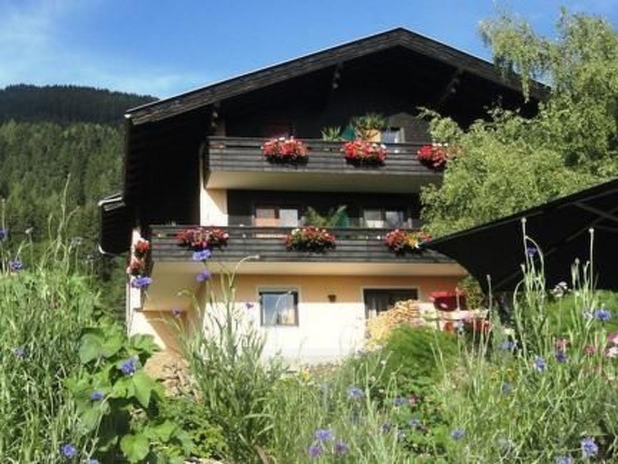 Anemoon in Millstatt-Image-tags.info