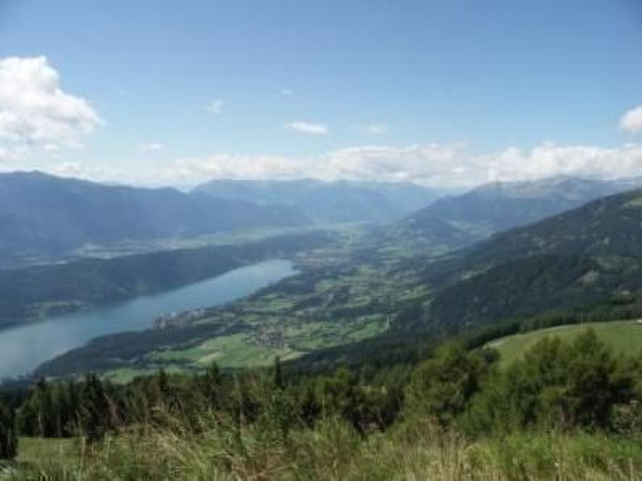 Anemoon in Millstatt-Image-tags.info