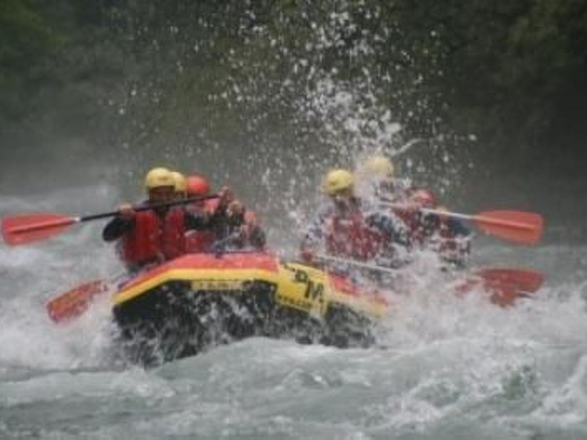 Anemoon in Millstatt-Image-tags.info