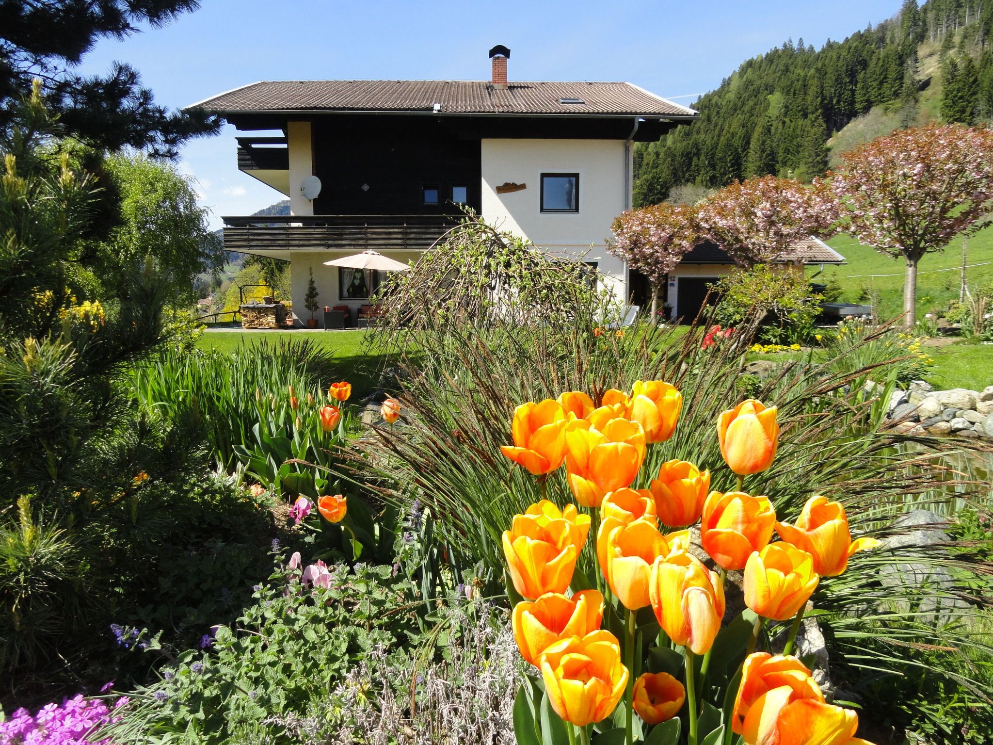 Anemoon in Millstatt-Image-tags.info