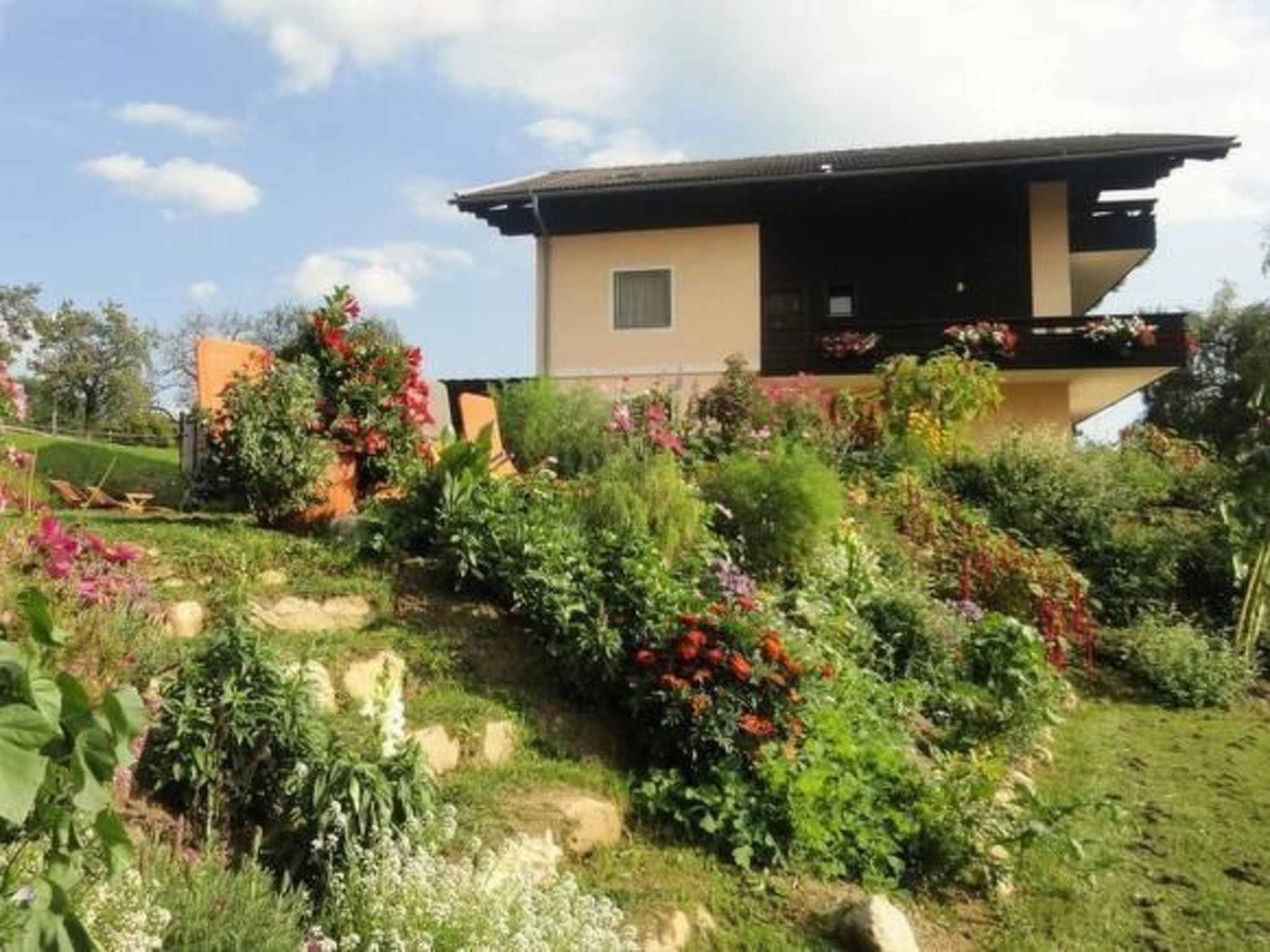 Anemoon in Millstatt-Image-tags.info