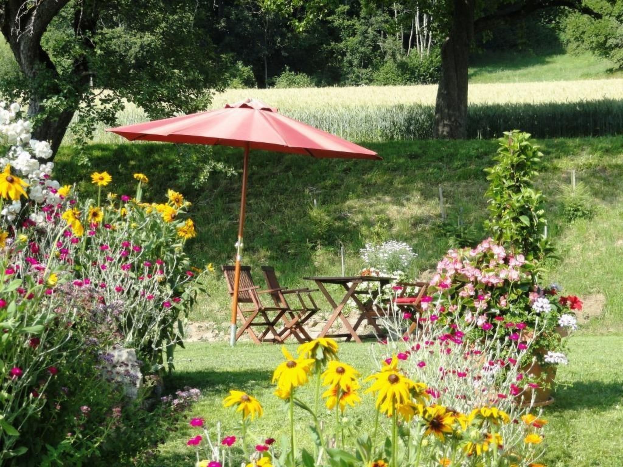 Salvia in Millstatt-Image-tags.info