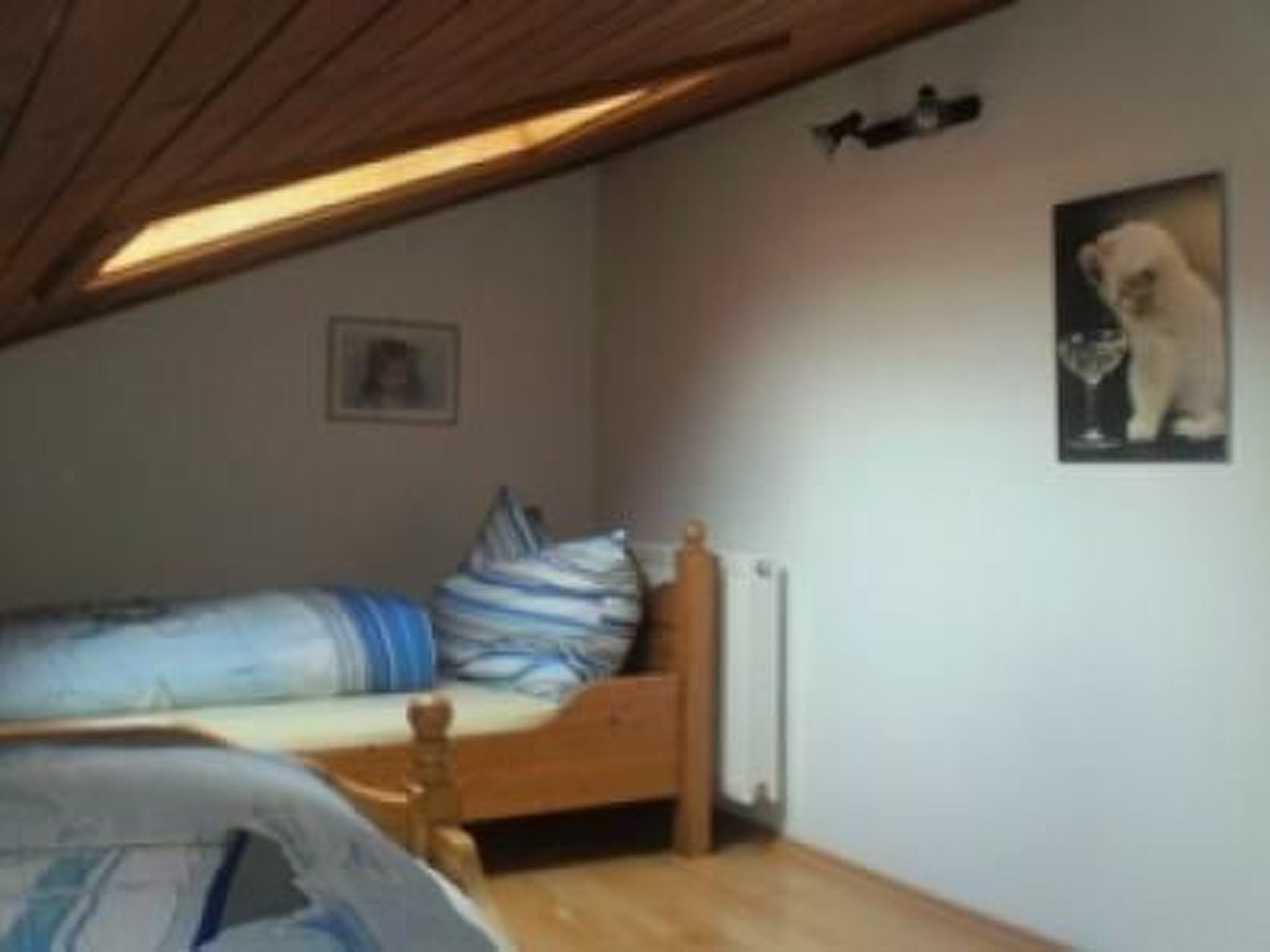 Salvia in Millstatt-Image-tags.info