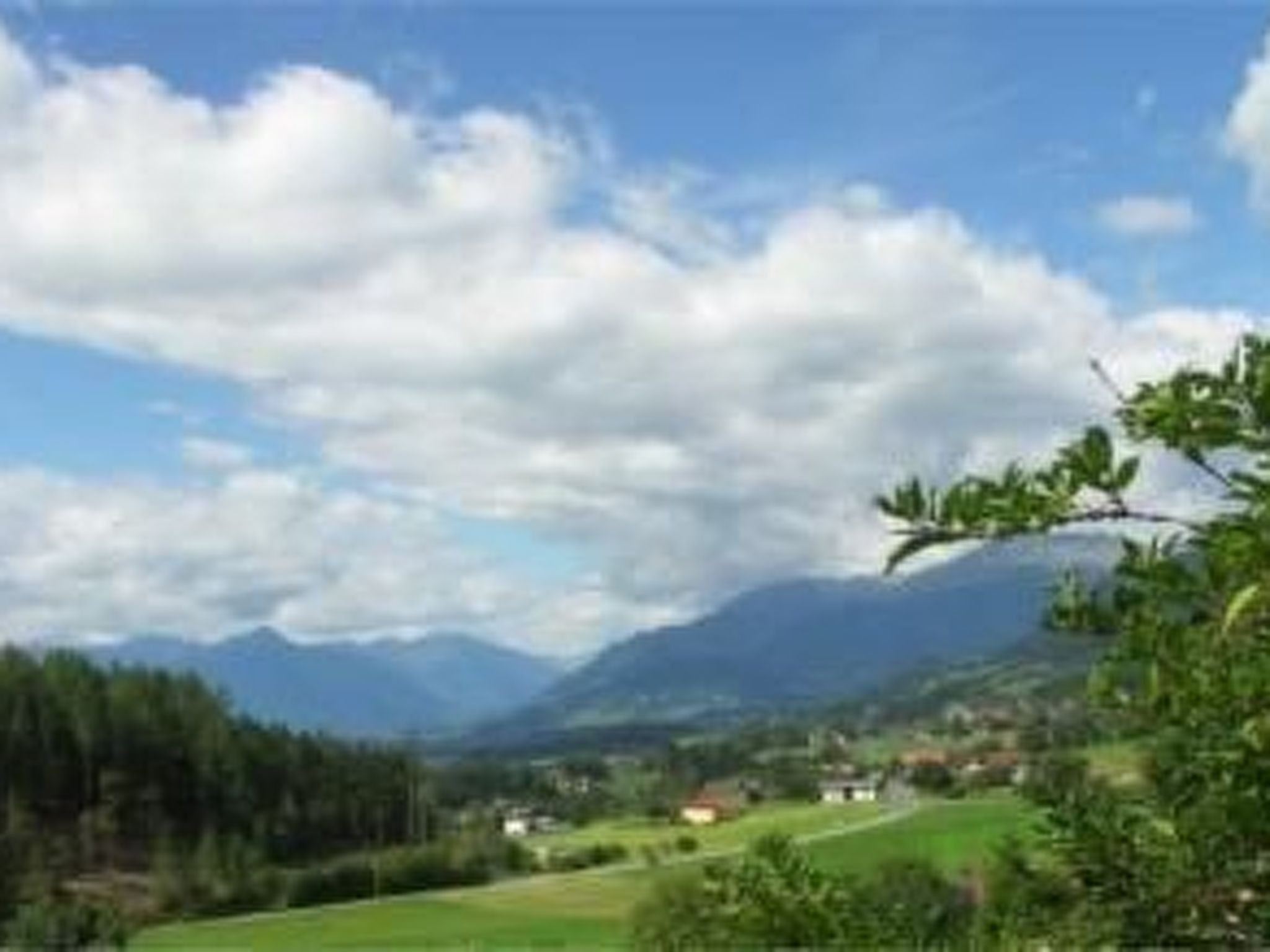 Salvia in Millstatt-Image-tags.info