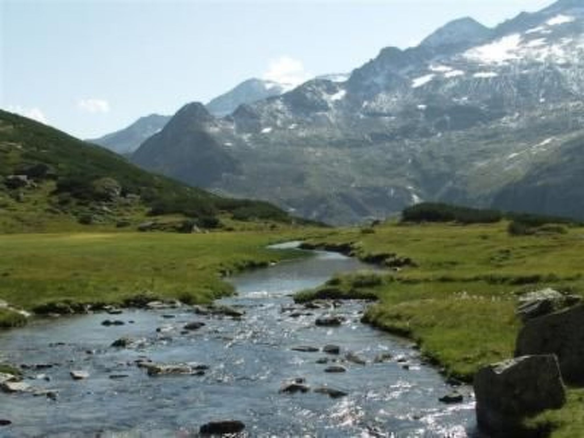 Salvia in Millstatt-Image-tags.info