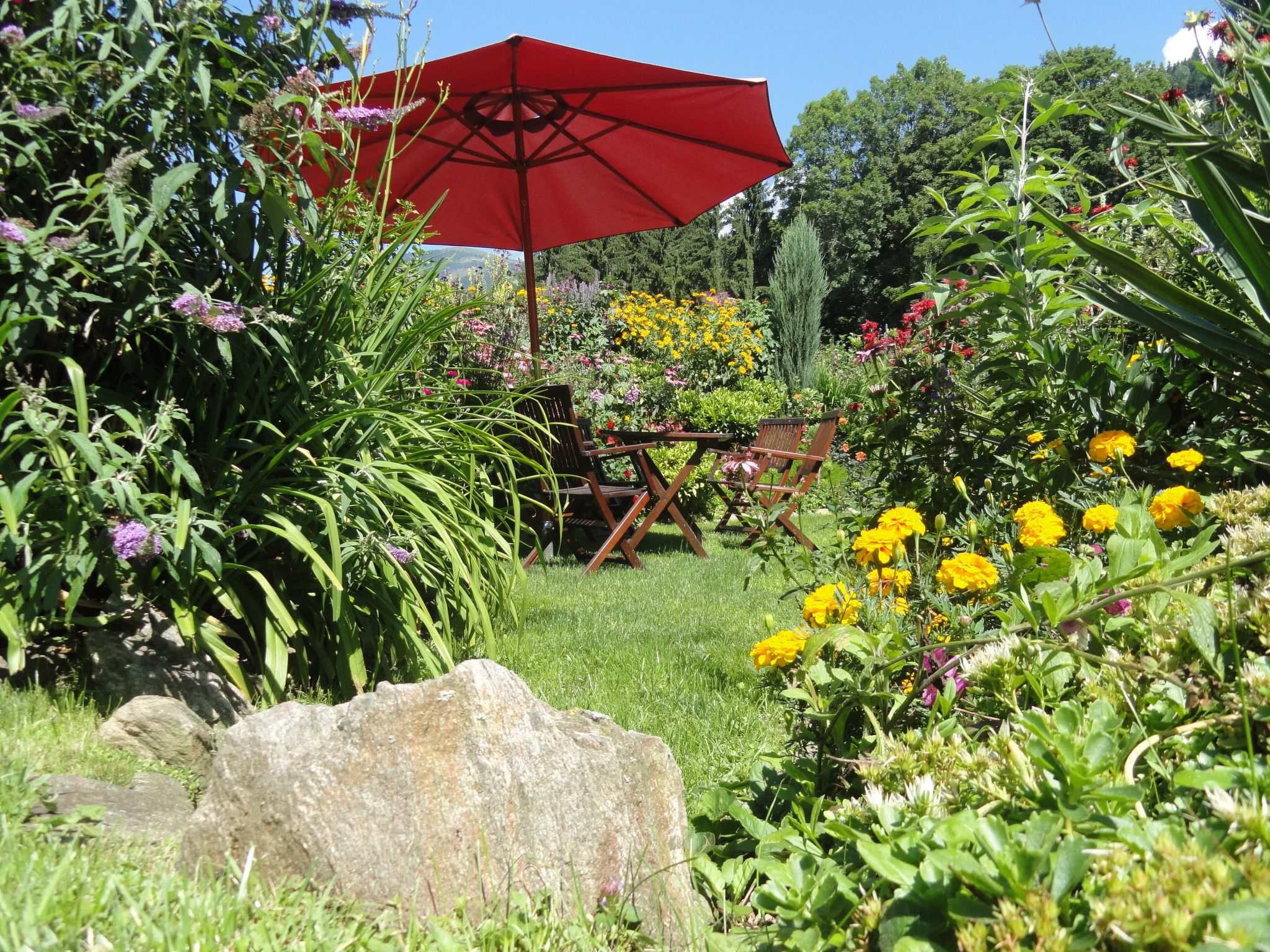 Salvia in Millstatt-Image-tags.info