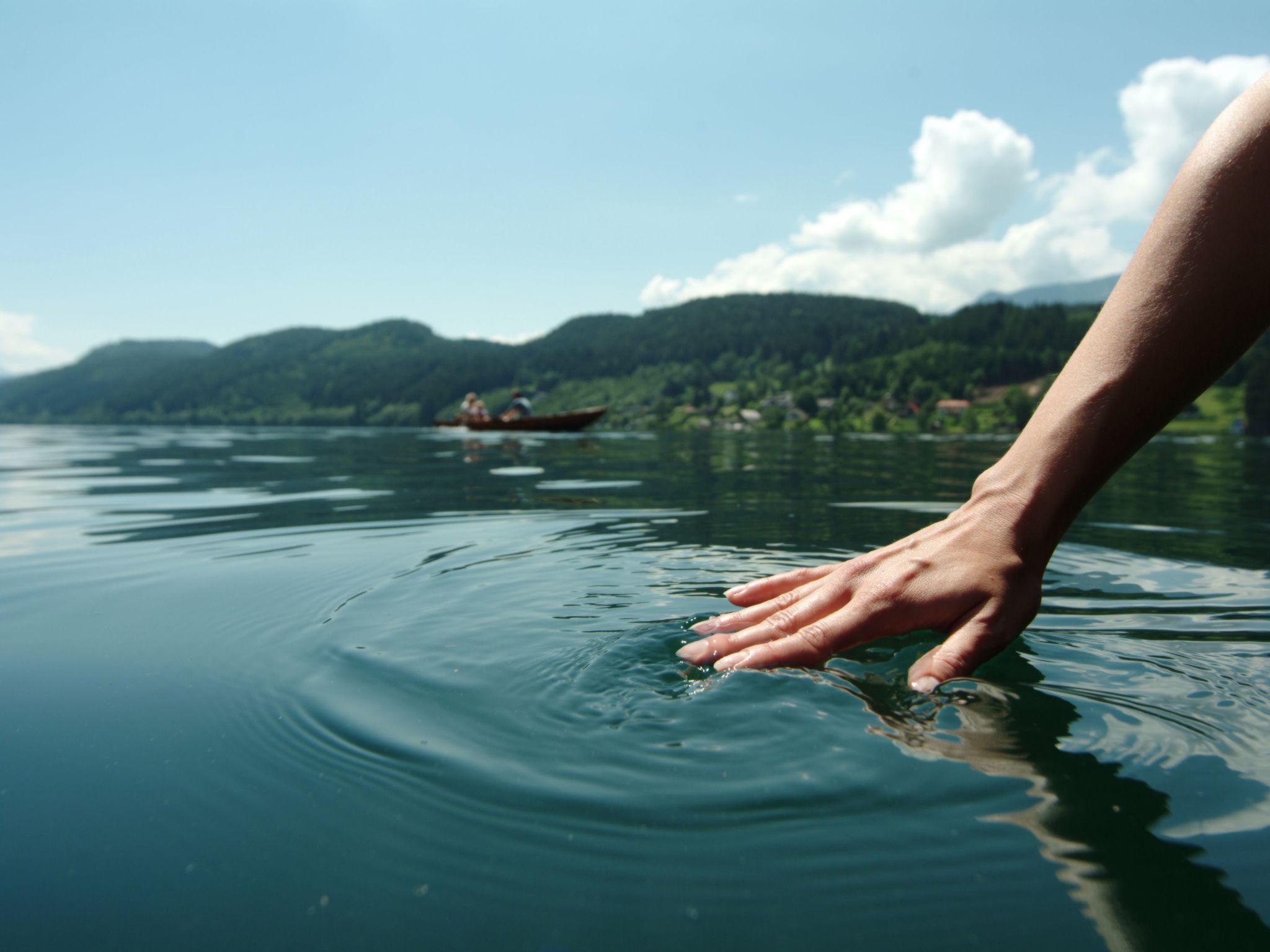 Salvia in Millstatt-Image-tags.info