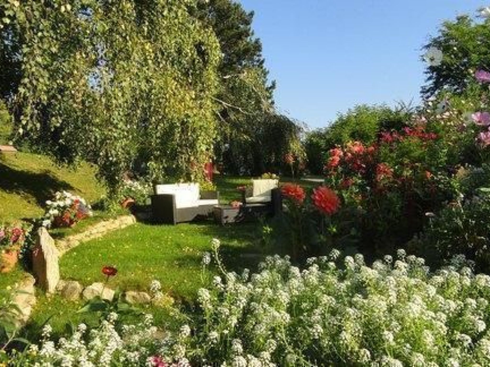 Salvia in Millstatt-Image-tags.info