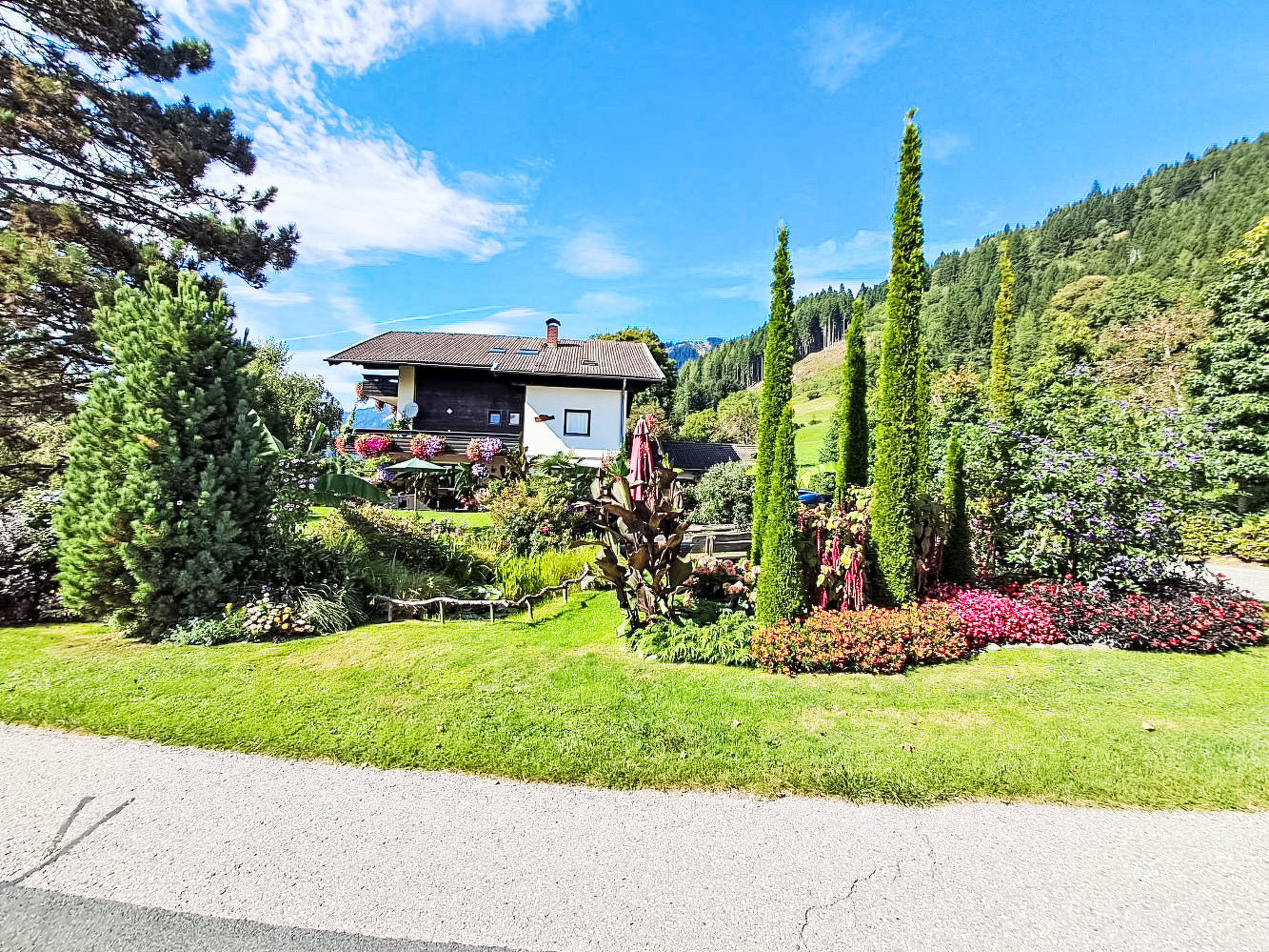 Cosmea in Millstatt - Buiten