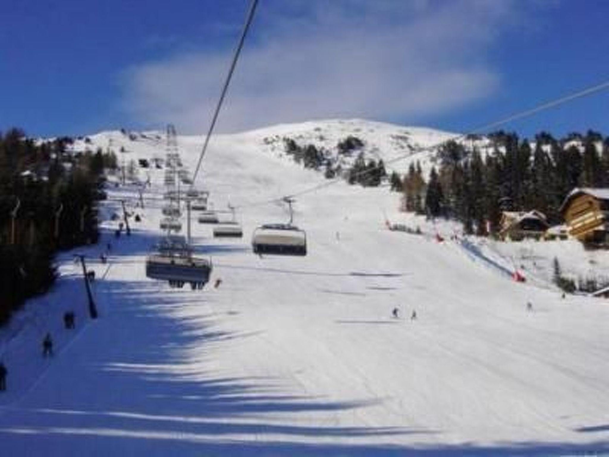 Cosmea in Millstatt-Image-tags.info