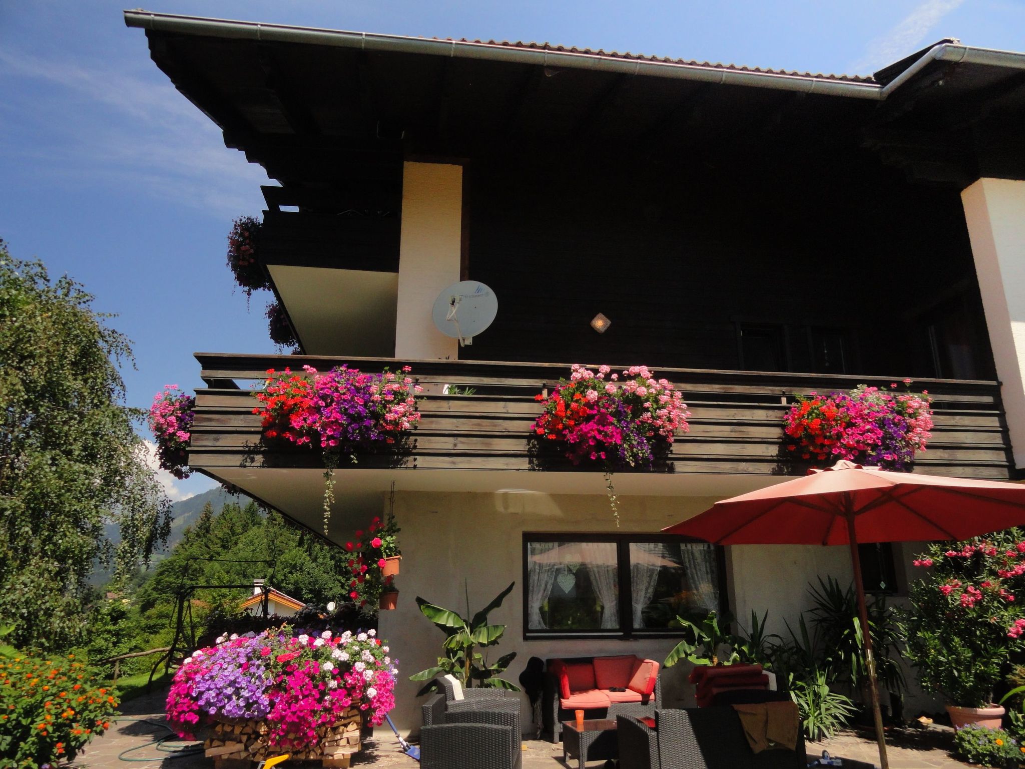 Cosmea in Millstatt-Image-tags.info