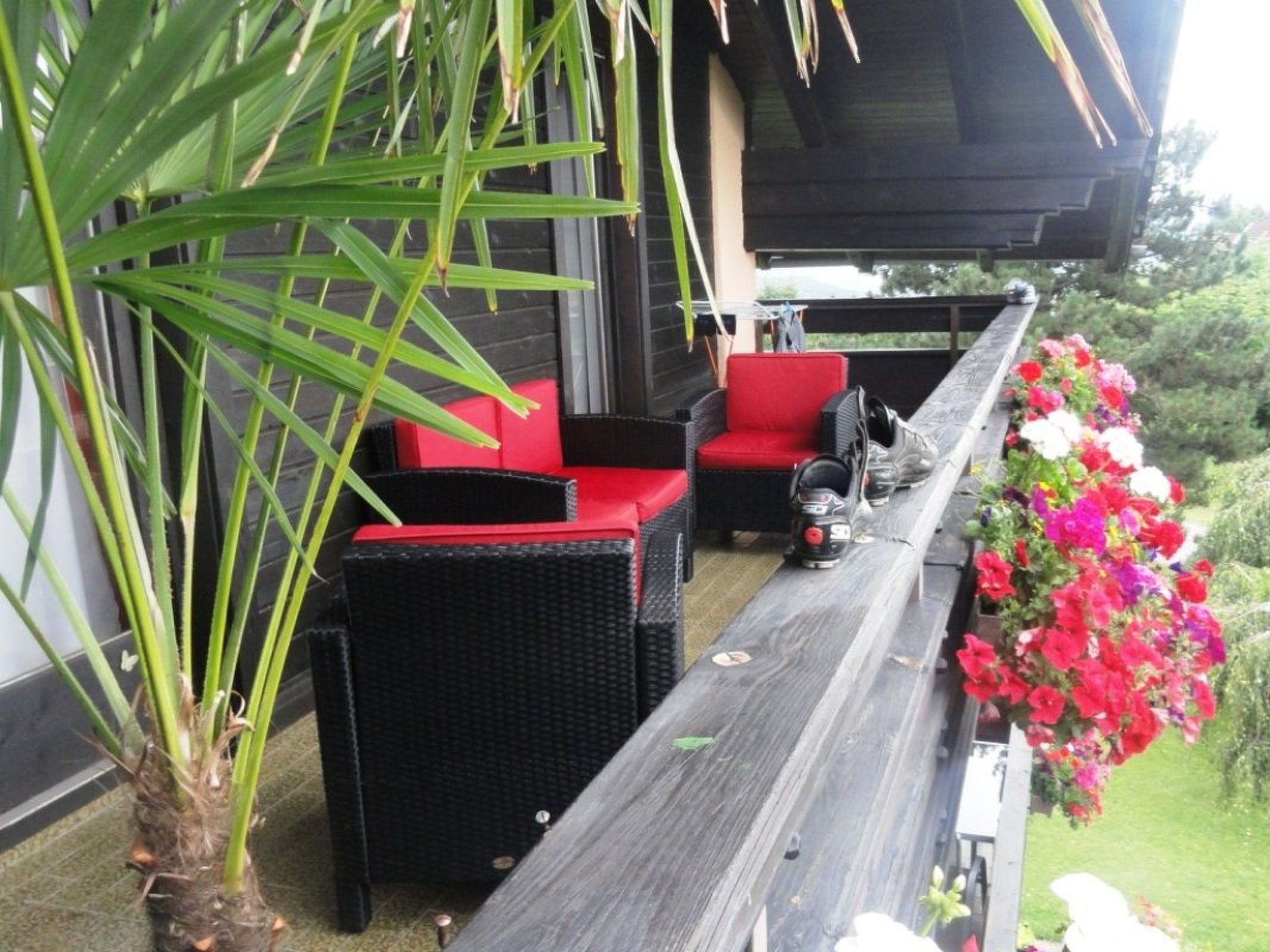 Cosmea in Millstatt-Image-tags.info