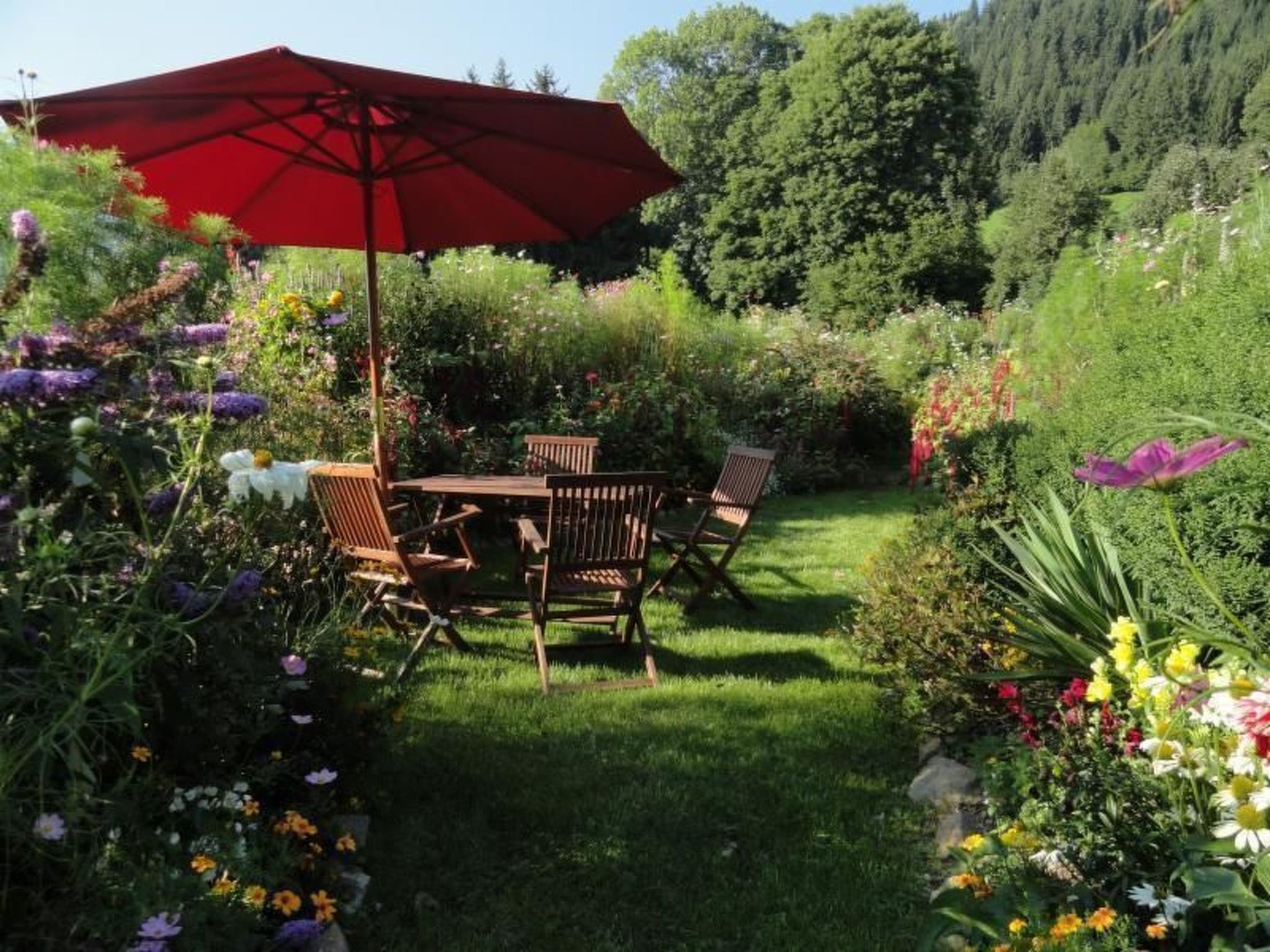 Cosmea in Millstatt-Image-tags.info