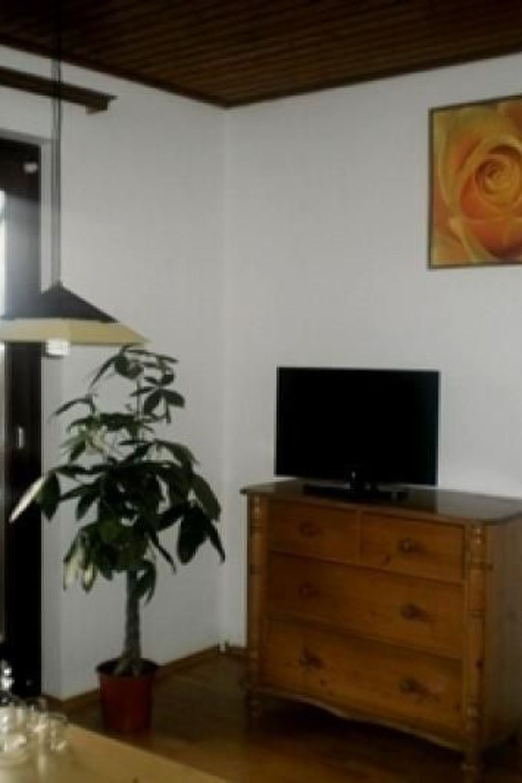 Cosmea in Millstatt-Image-tags.info