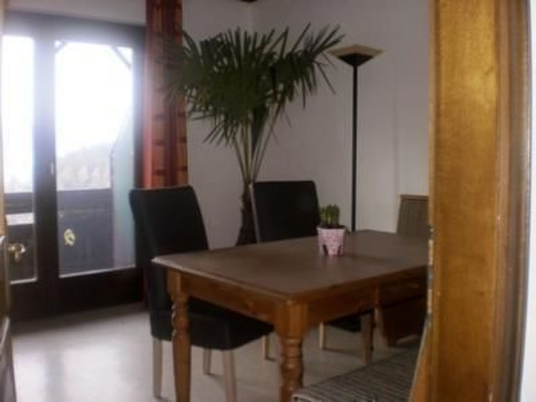 Cosmea in Millstatt-Image-tags.info