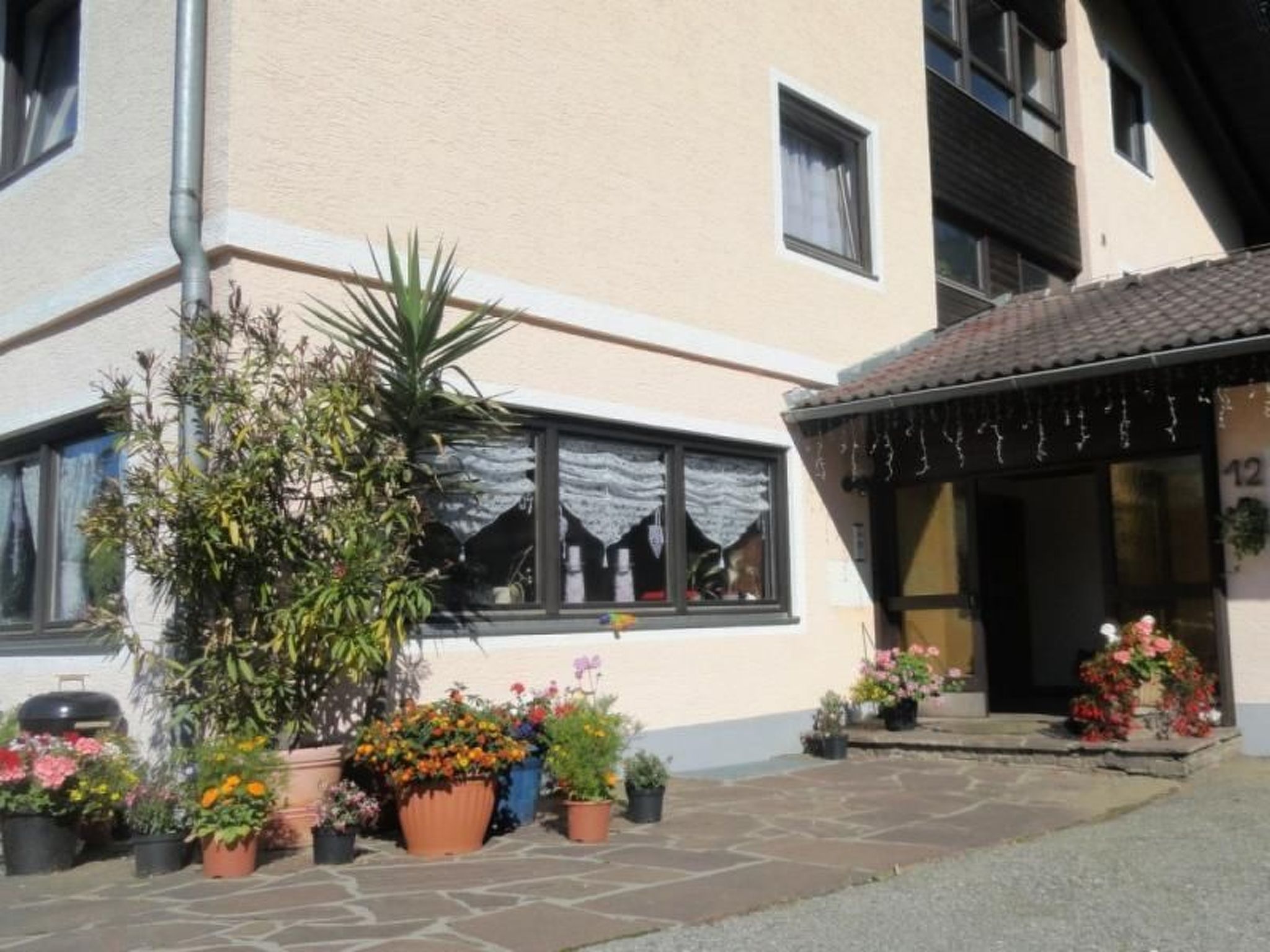 Cosmea in Millstatt-Image-tags.info