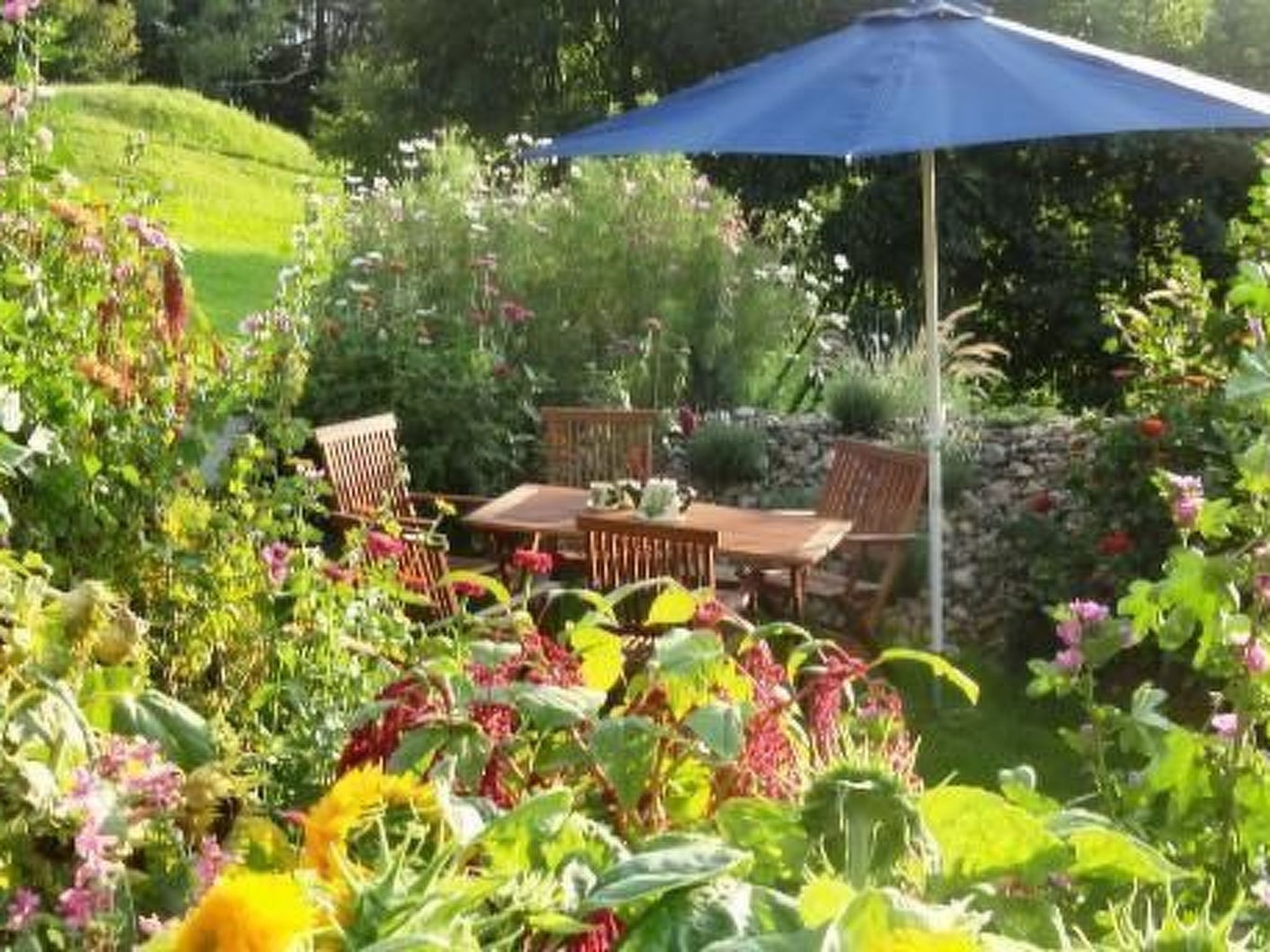 Phlox in Millstatt-Image-tags.info