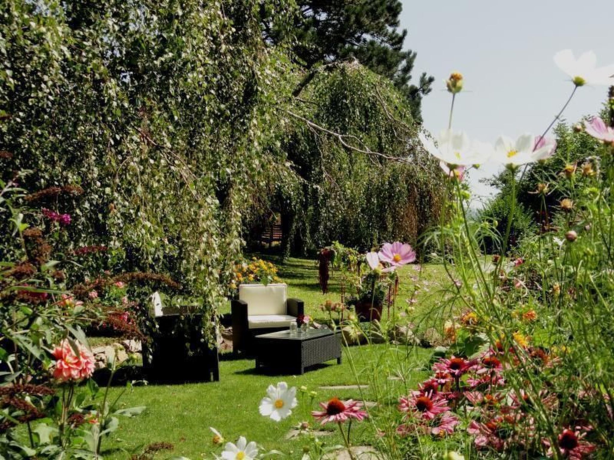 Phlox in Millstatt-Image-tags.info