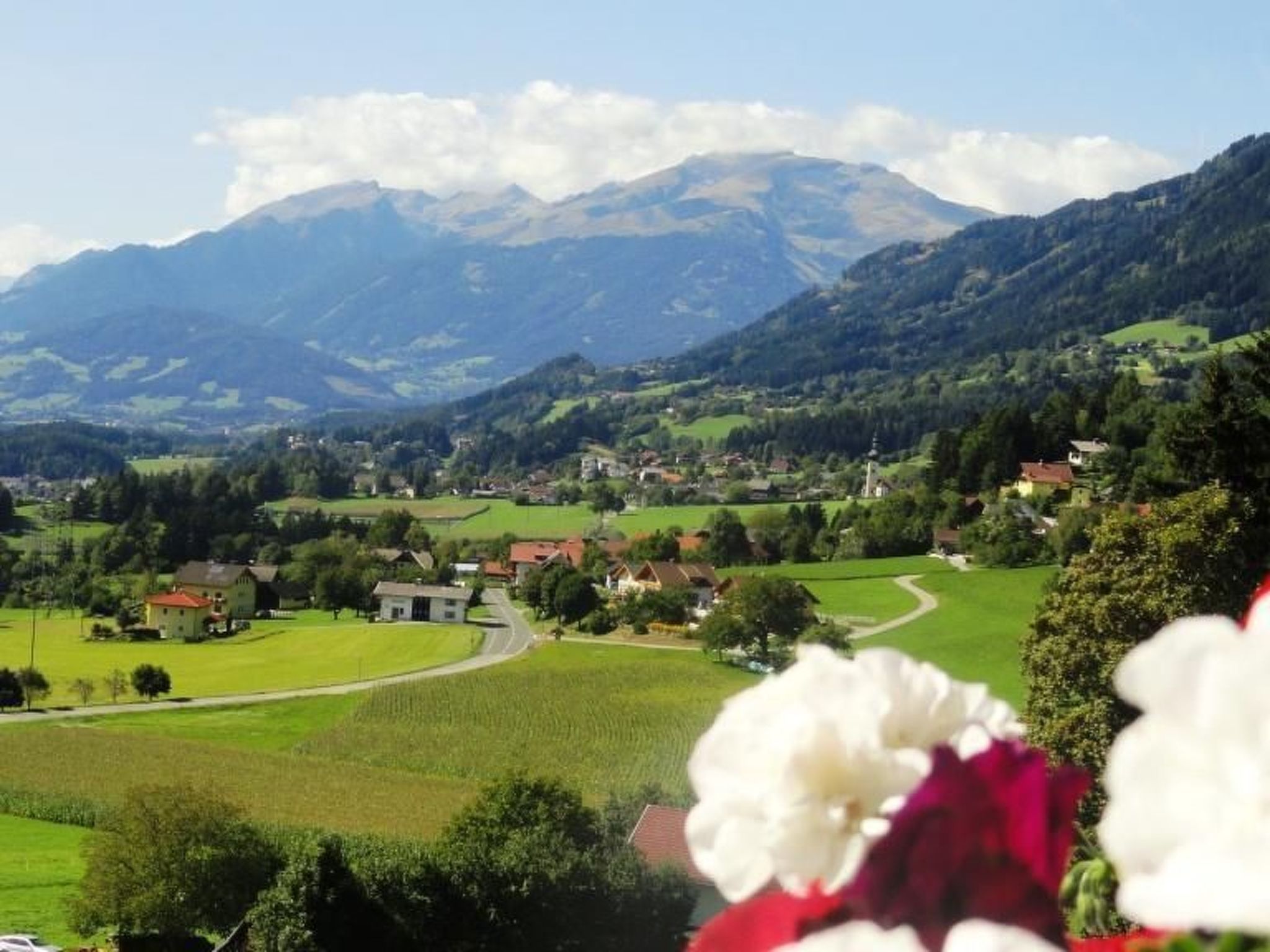 Phlox in Millstatt-Image-tags.info