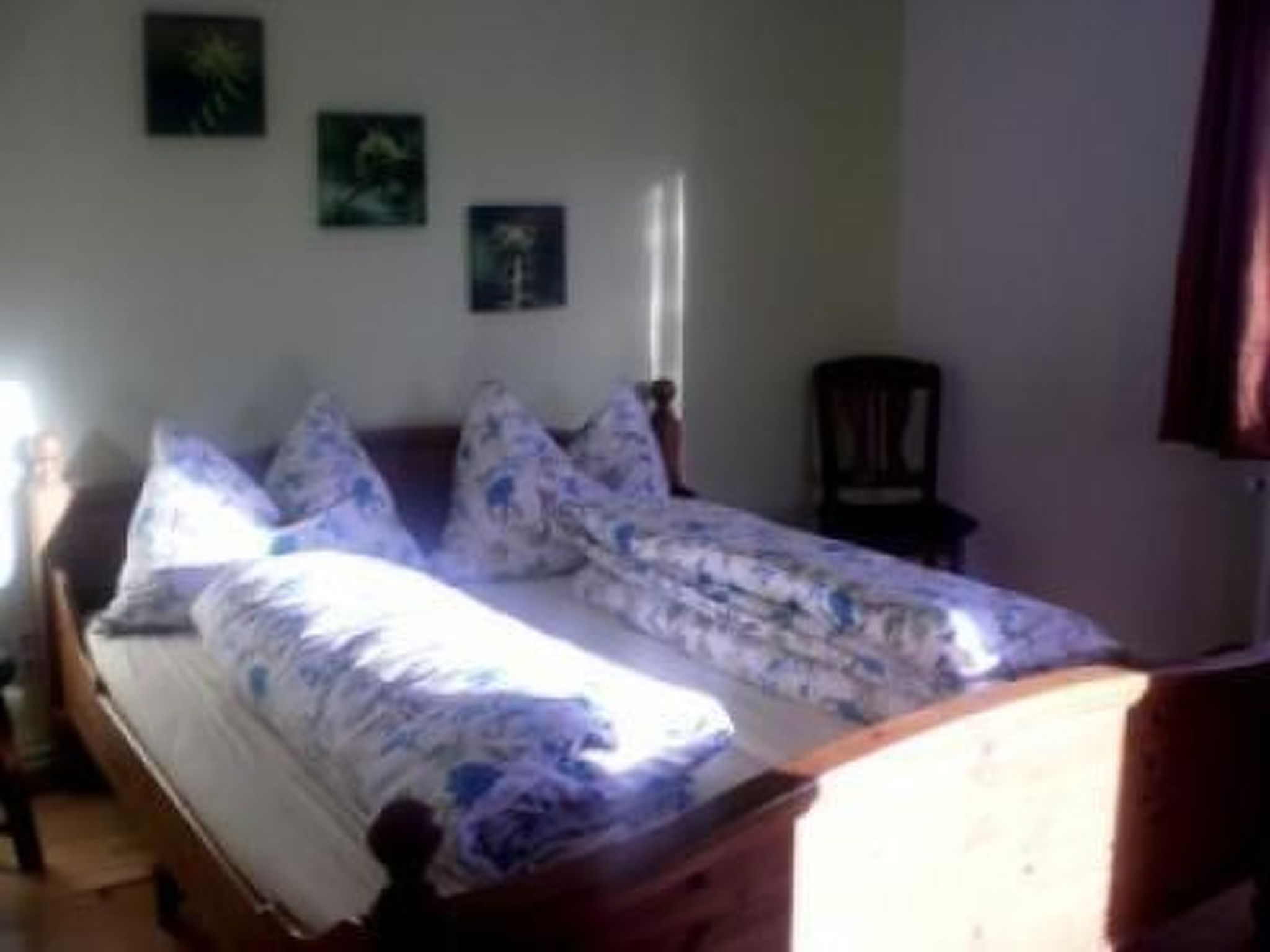 Phlox in Millstatt-Image-tags.info