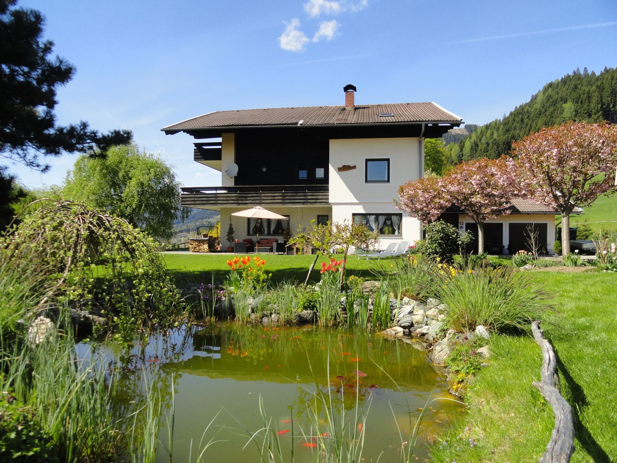 Phlox in Millstatt-Image-tags.info