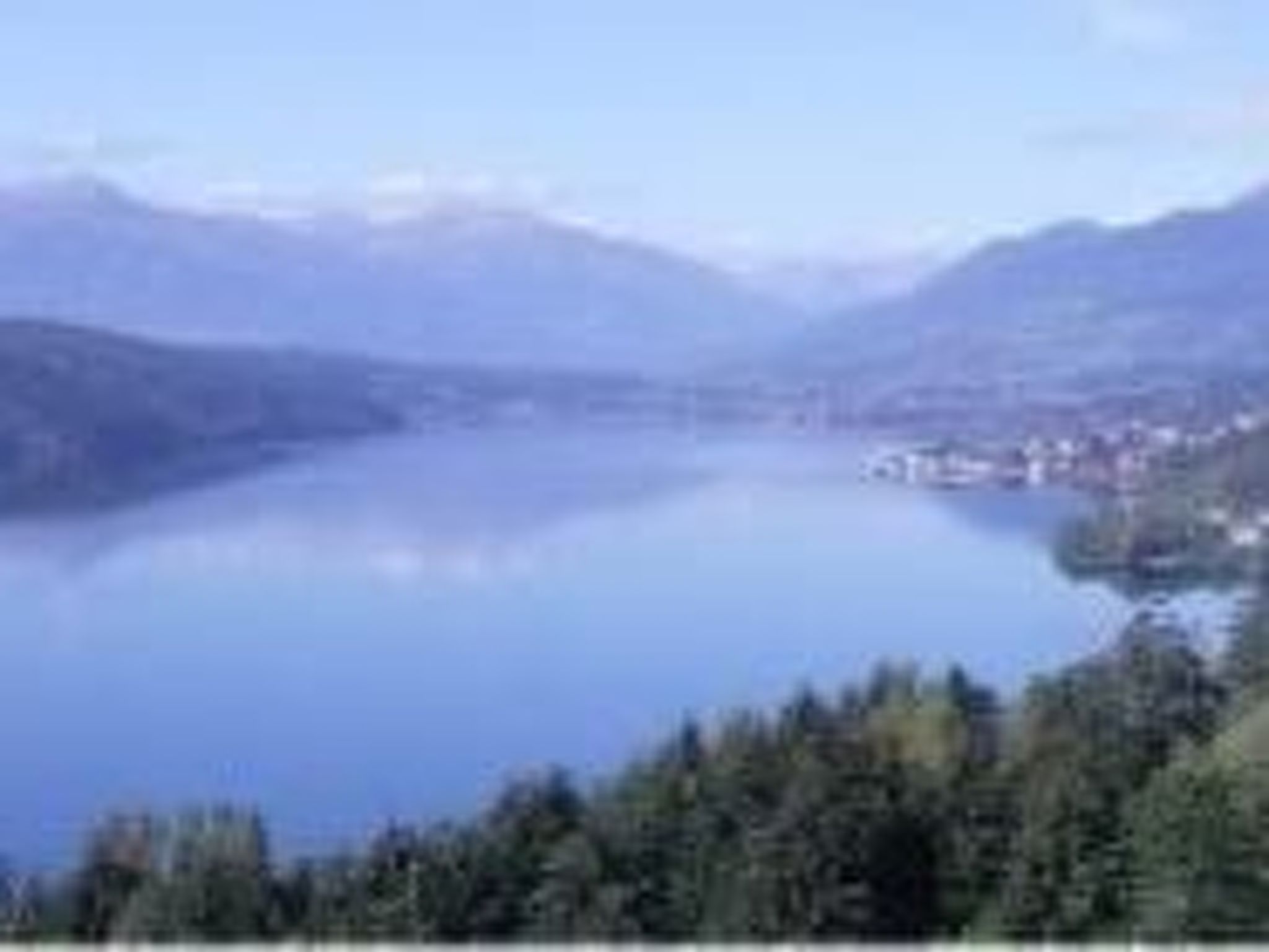 Phlox in Millstatt-Image-tags.info