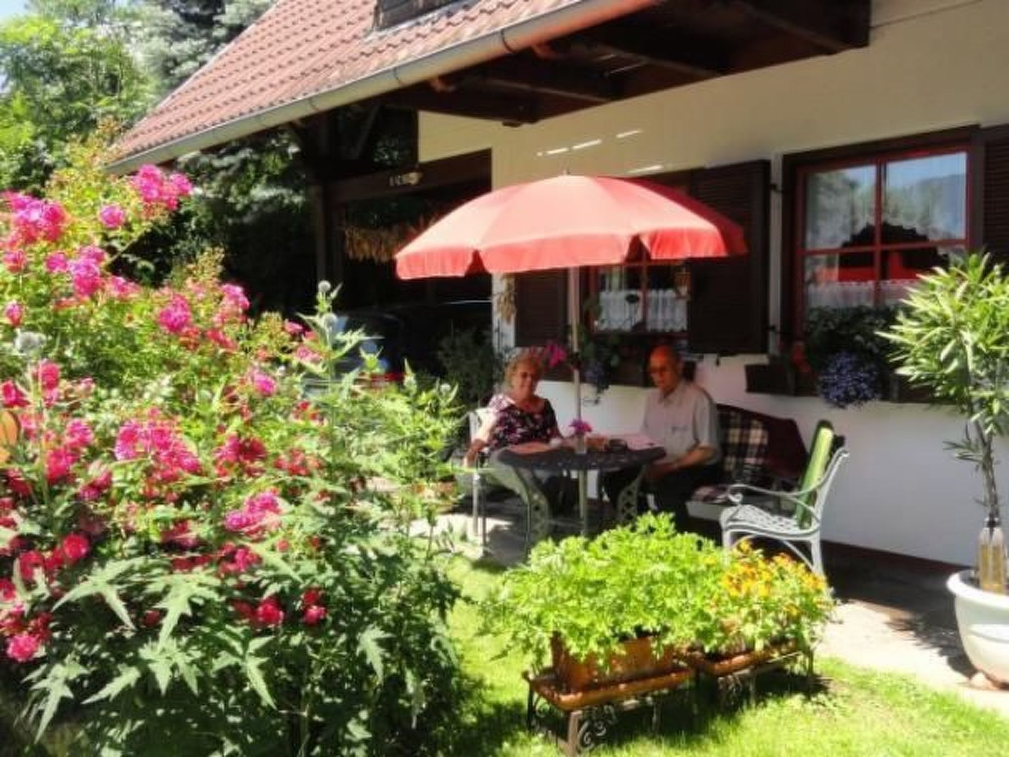 Studio barrierefrei - Draußen