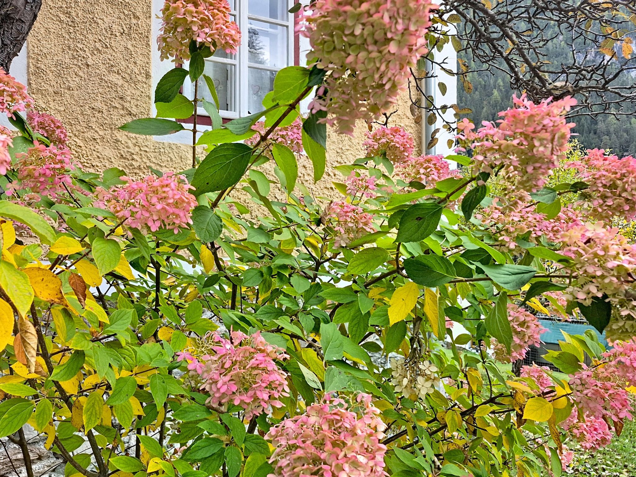 Villa Maria - Buiten