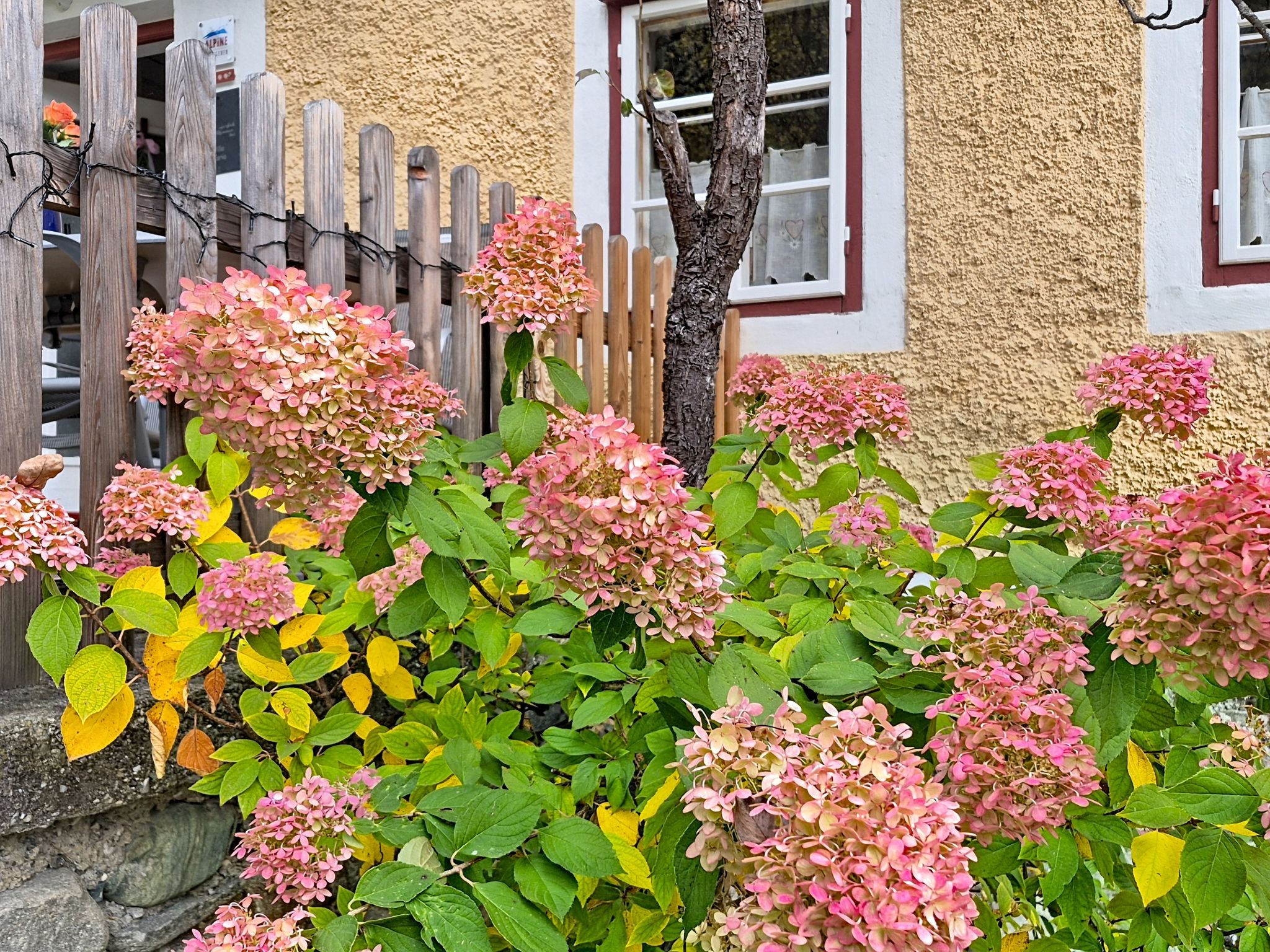 Villa Maria - Buiten