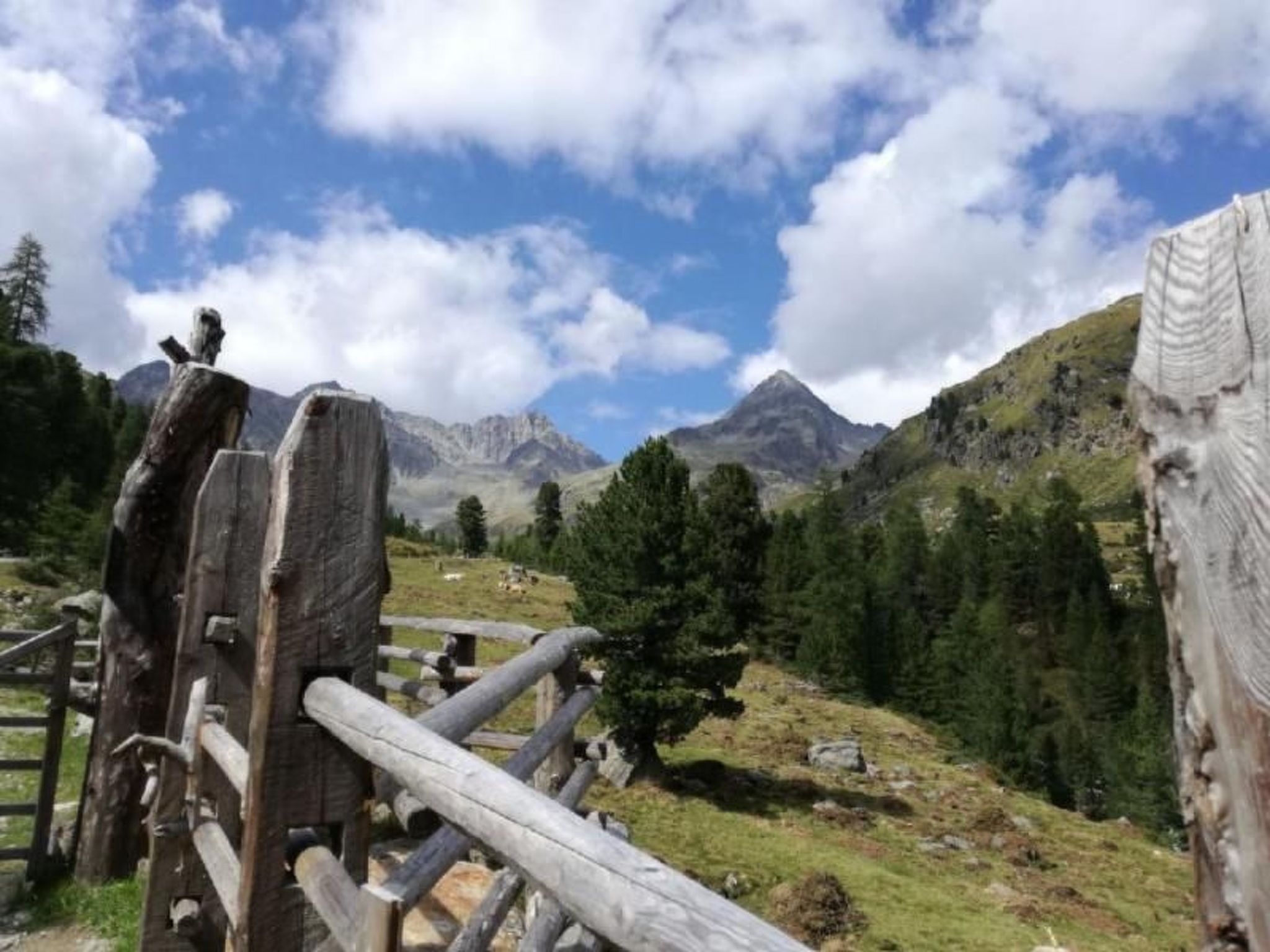 Charmantes Ferienhaus mit Whirlpool-Binnen