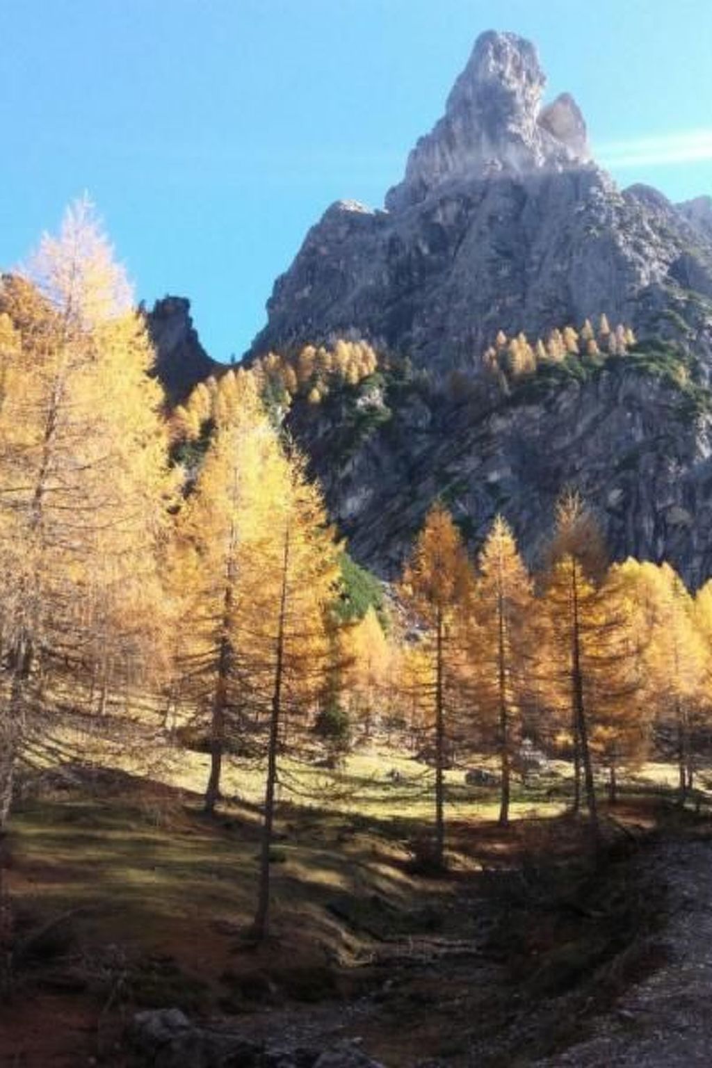 Charmantes Ferienhaus mit Whirlpool-Binnen